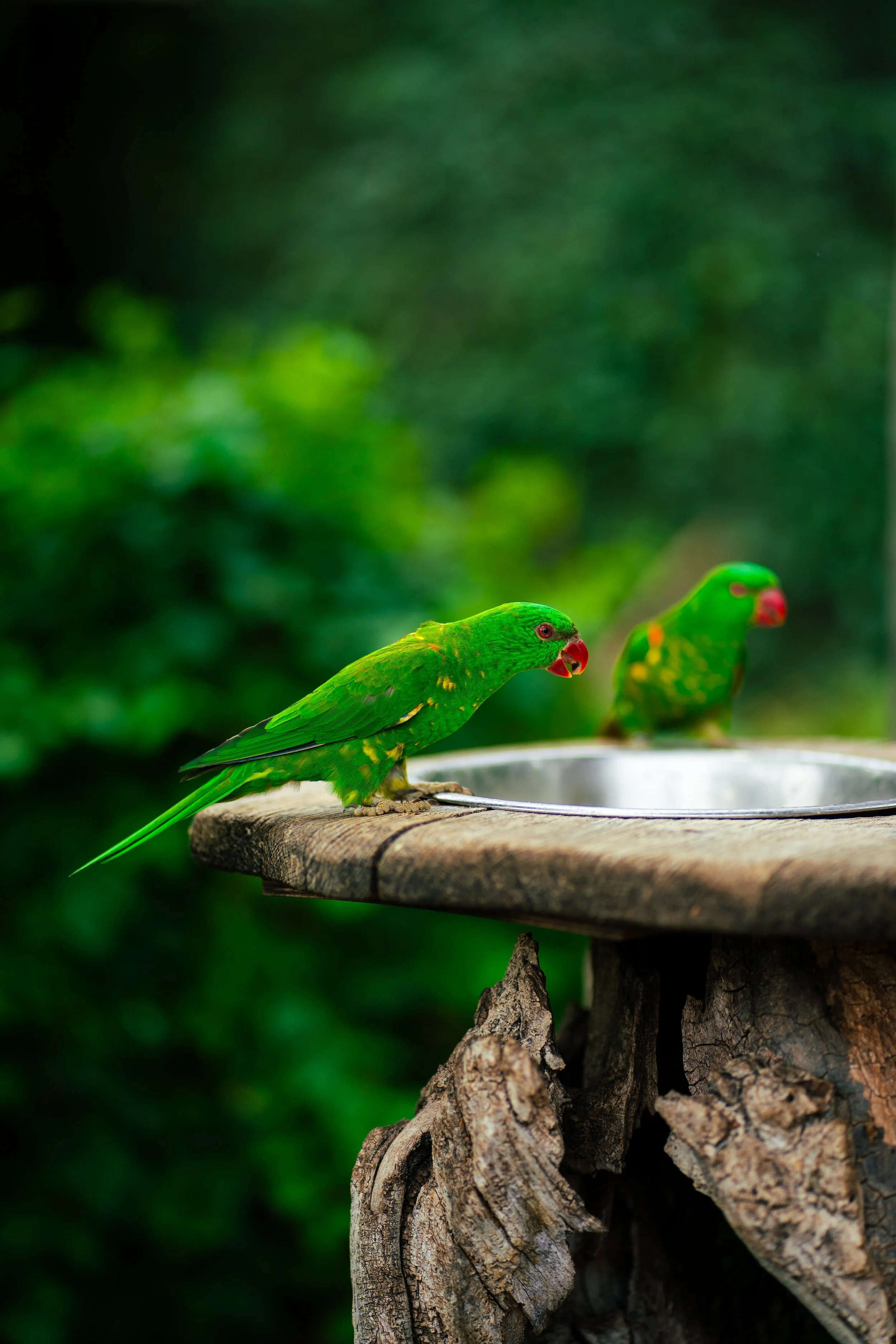 Photos save 30.5-18683.jpg