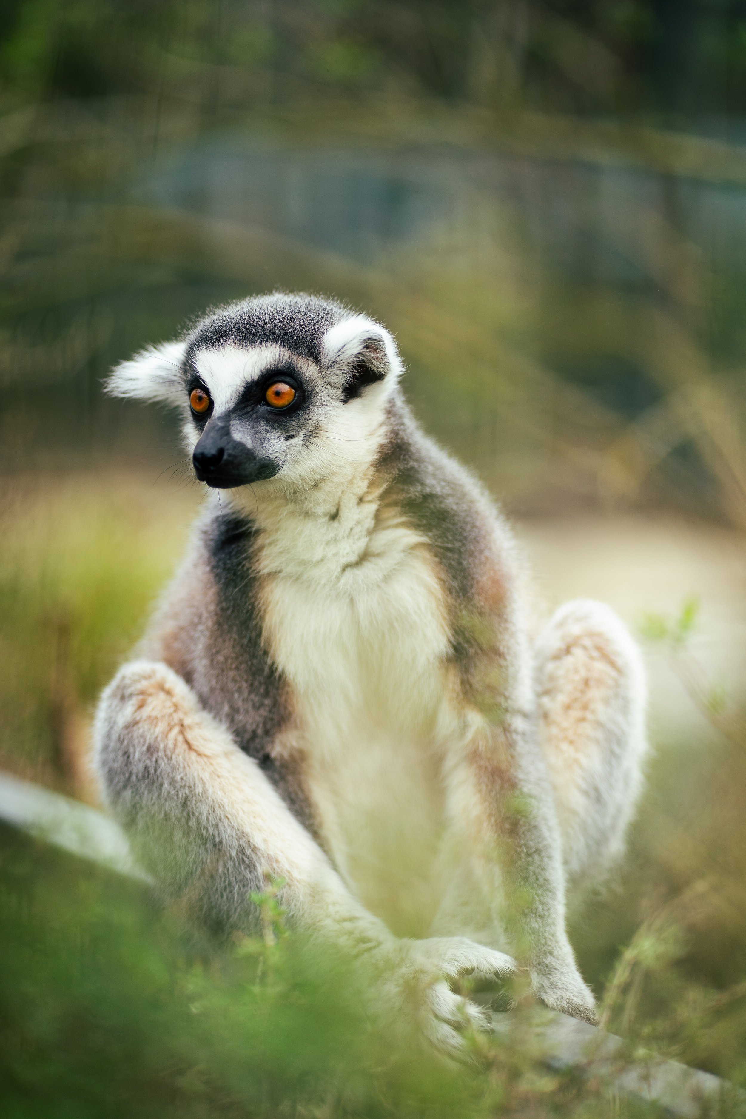 Photos save 30.5-21269.jpg