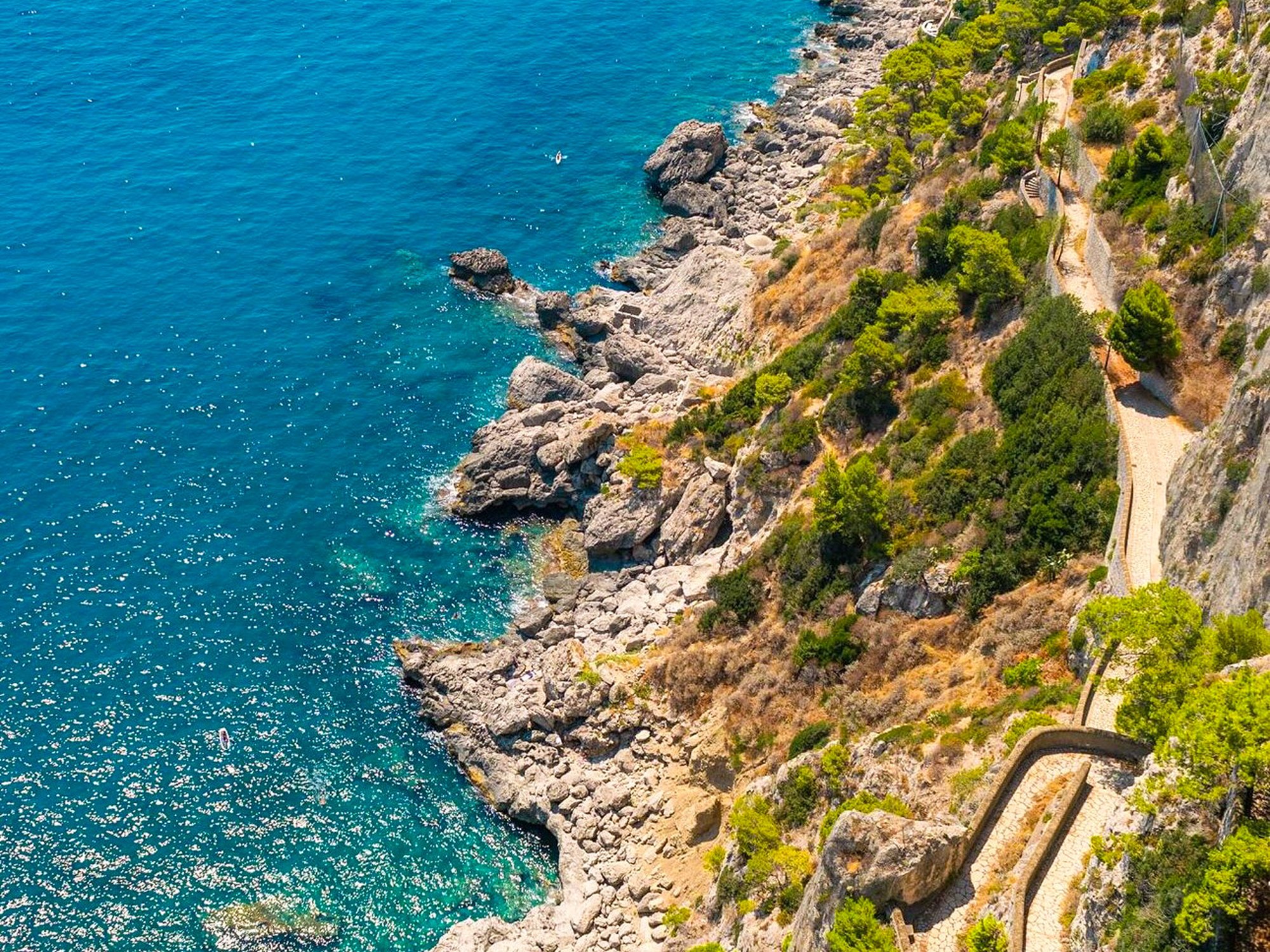 A coastal pathway winding along a rocky cliffside over the blue ocean, with lush green trees and clear water below.