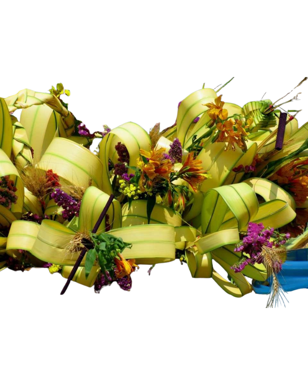 Taller: Composición de palmas para el Domingo de Ramos por Taller Cúcara Mácara.