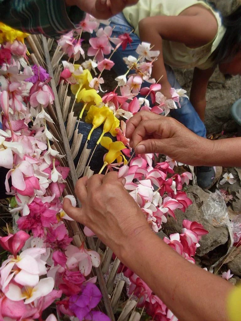 Taller: Minipalmas de Panchimalco por Taller Cúcara Mácara.
