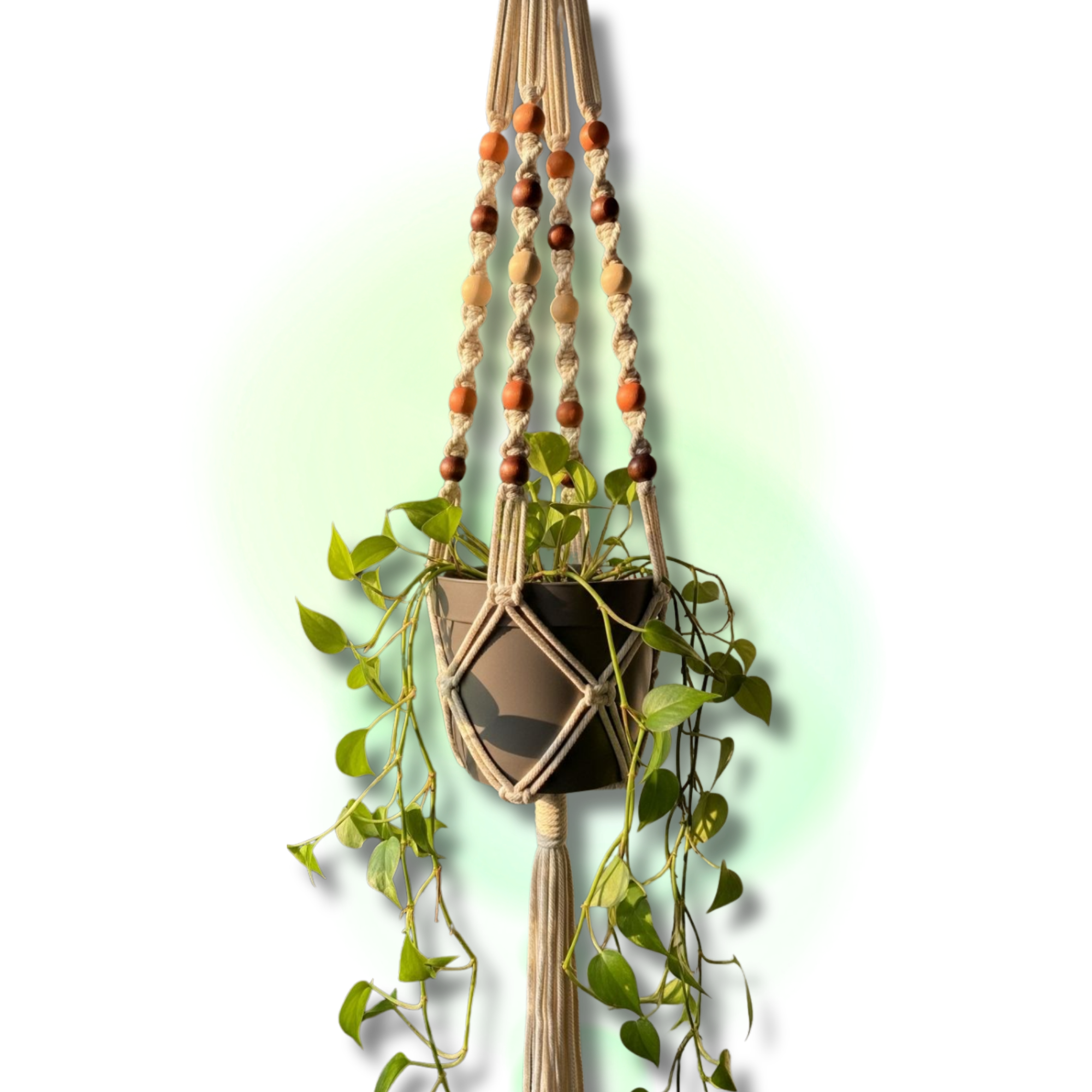 Taller: Maceteros de macramé por Taller Cúcara Mácara