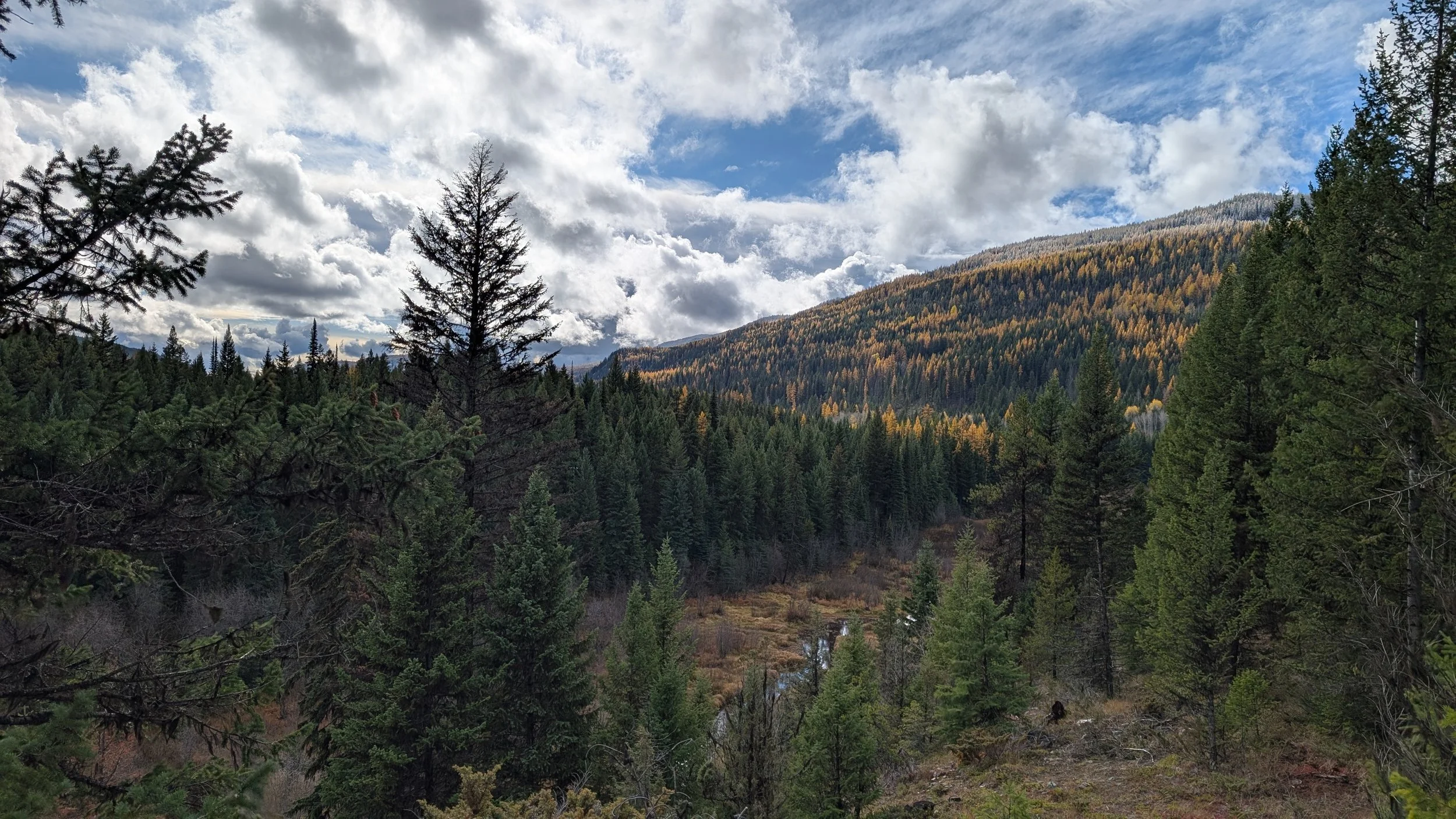 PXL_20251026_190622792 (1).jpg