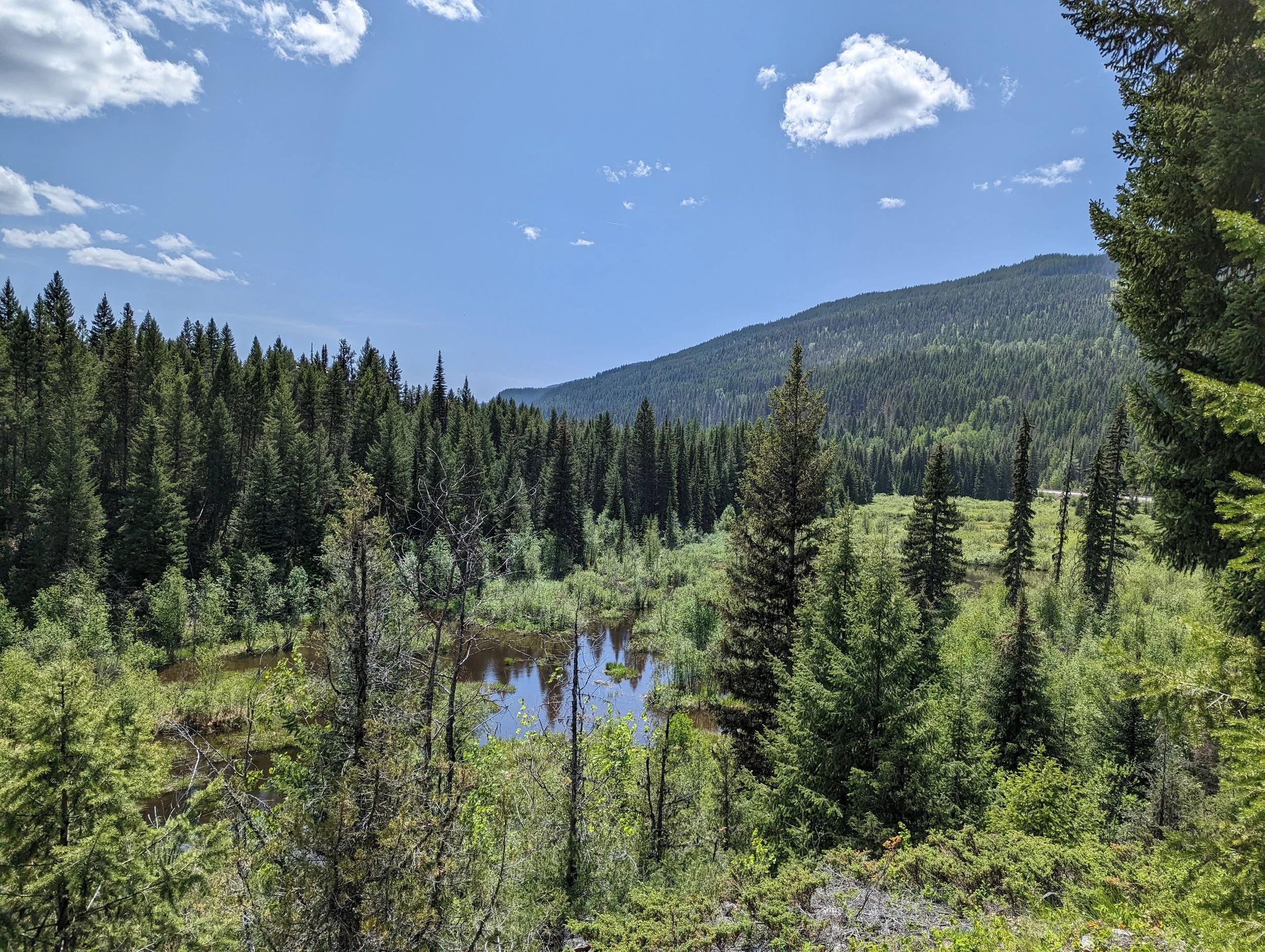 A view of Clark Creek and the marshland that runs through Storia Vale.