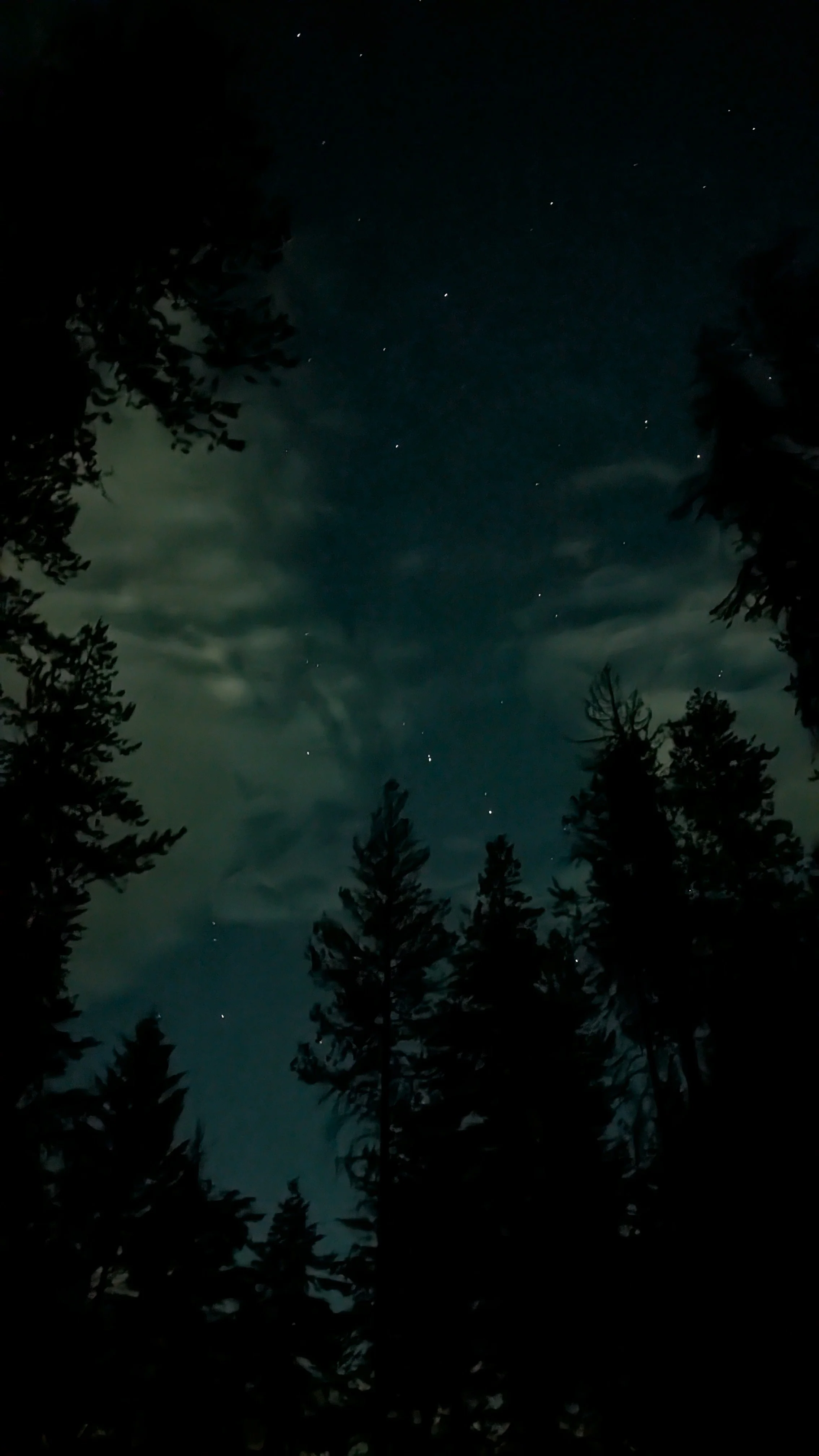 PXL_20250710_075325839.NIGHT (1).jpg