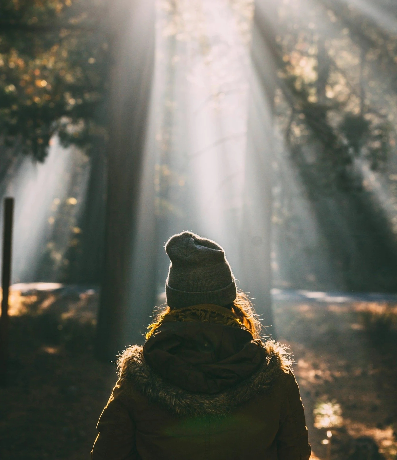 Person in Winterjacke und Mütze steht in einem Wald bei Sonnenaufgang oder Sonnenuntergang, Sonnenstrahlen fallen durch die Bäume.