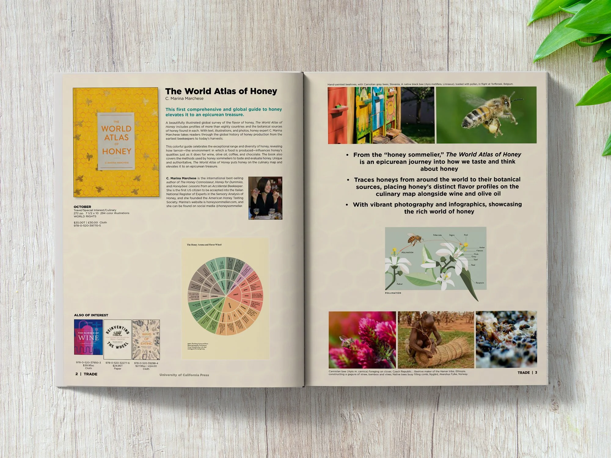 Catalog spread featuring interior book content