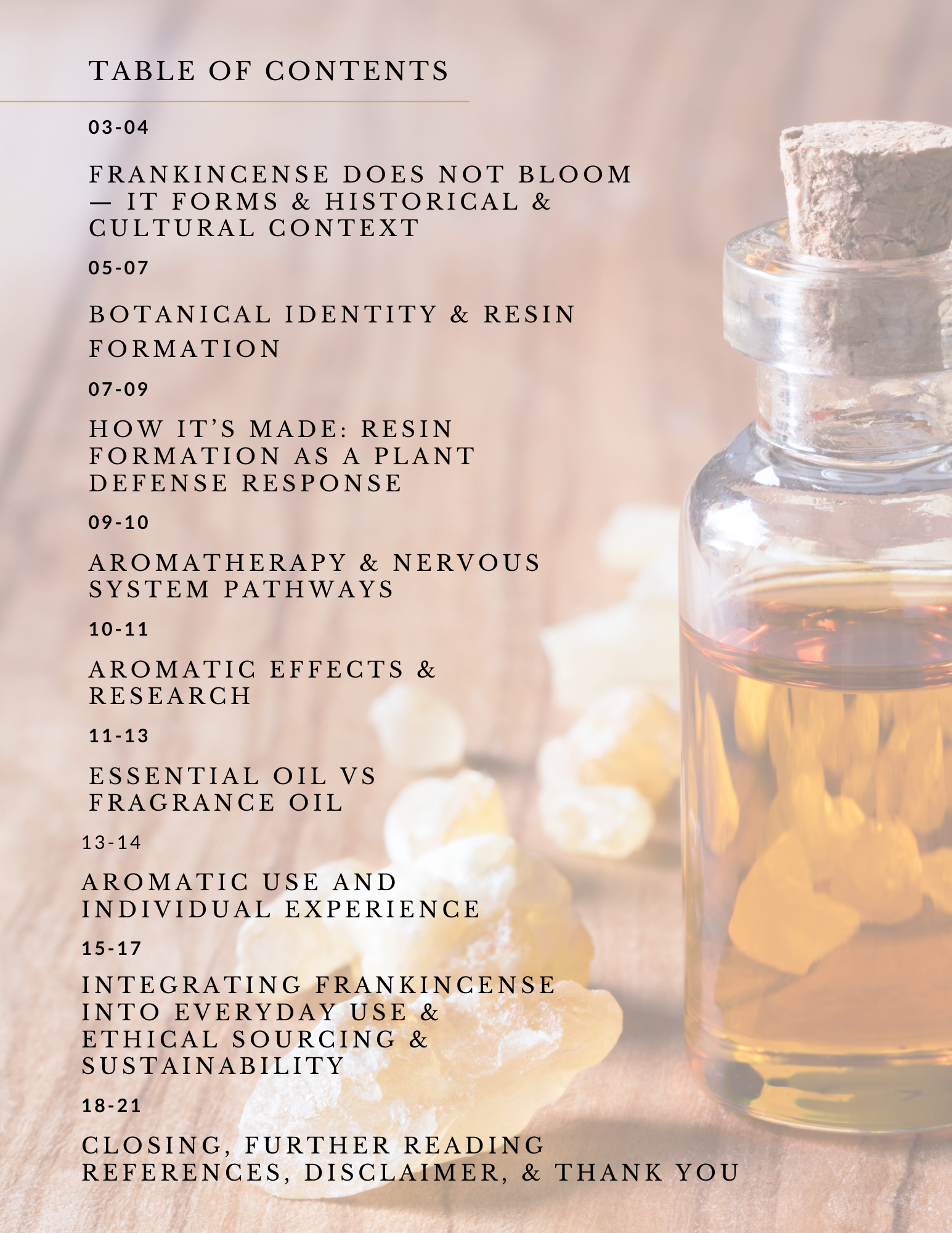 Table of Contents.png