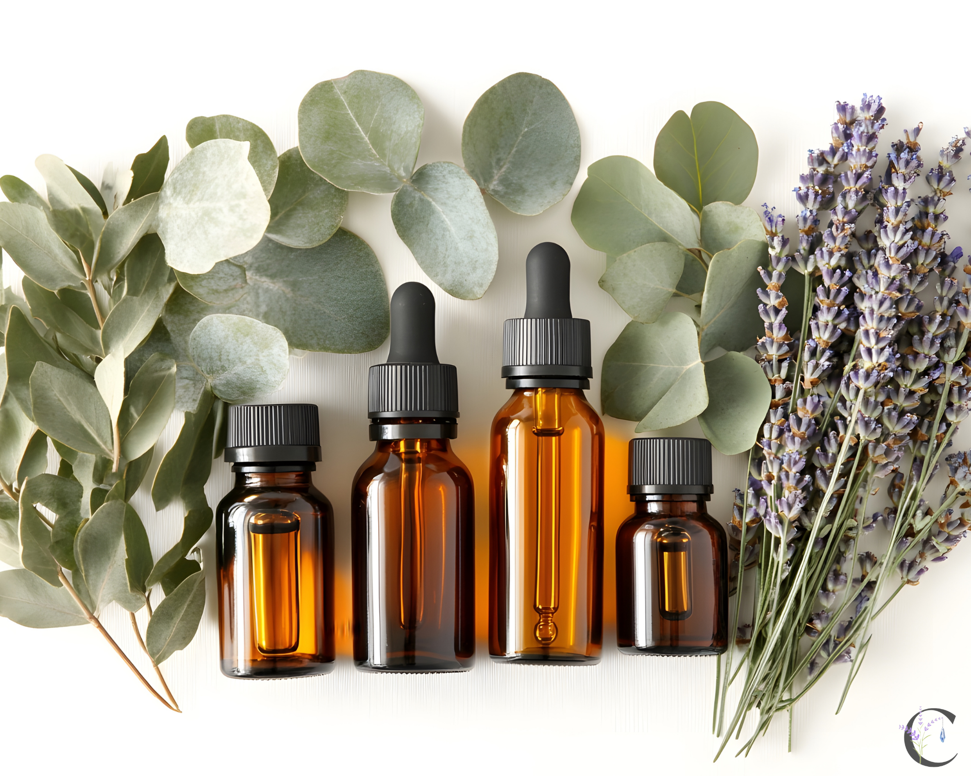 Why Plant-Based Ingredients Matter for Skin, Body, and the Planet