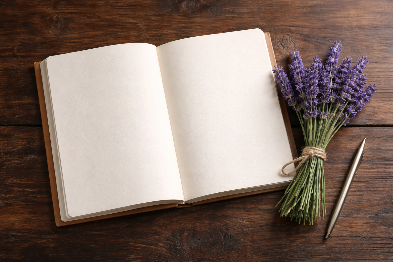 ChatGPT Image Feb 2, 2026, 09_08_36 AM.png