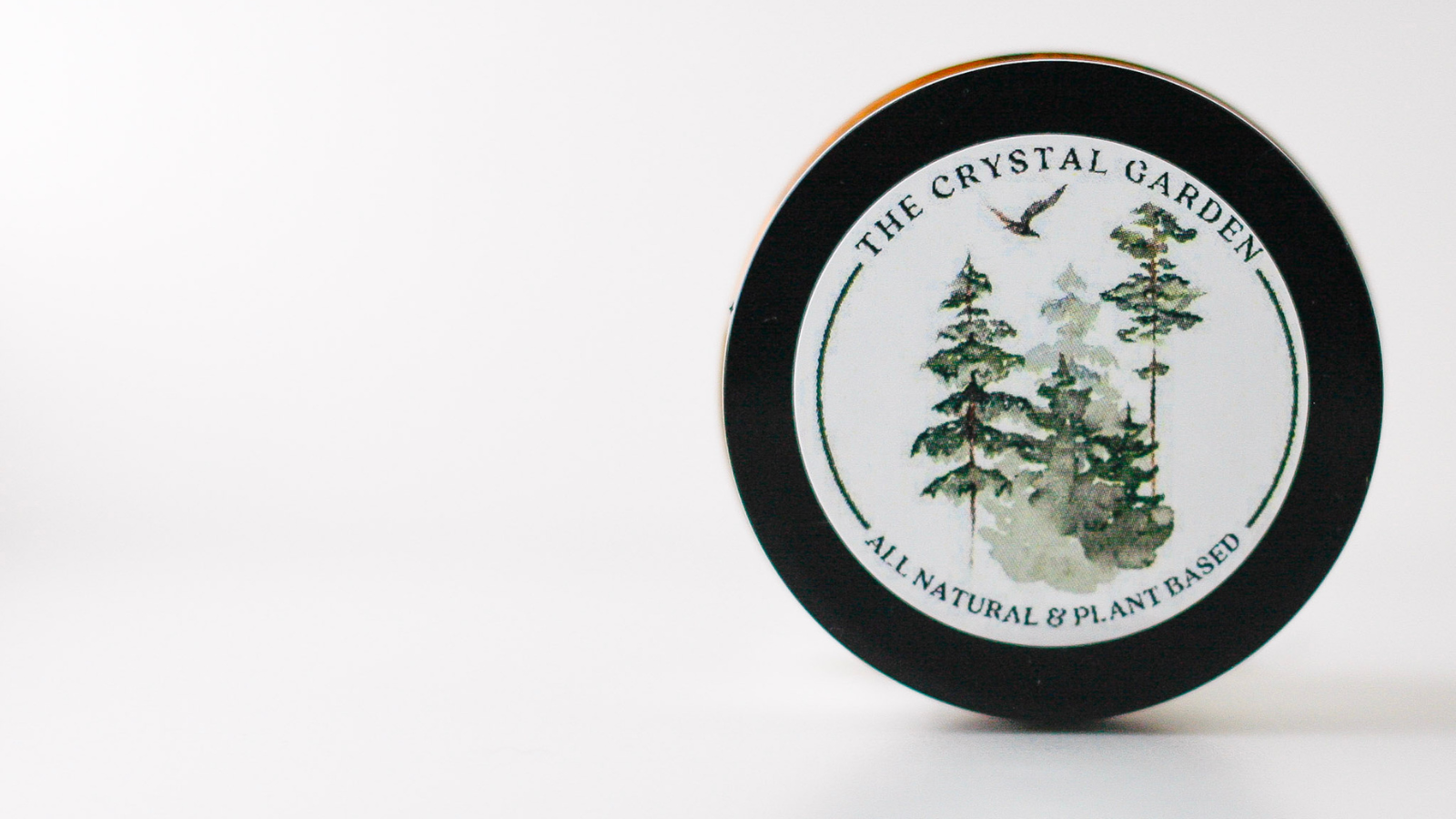 WBB banner image-LS(1).png