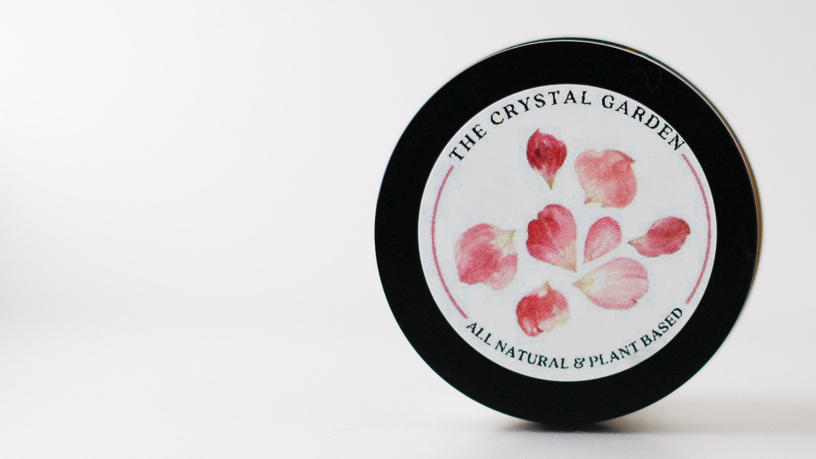 WBB banner image-LS(2).png