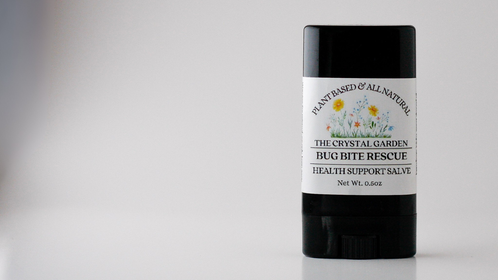 Salve banner image-LS.png