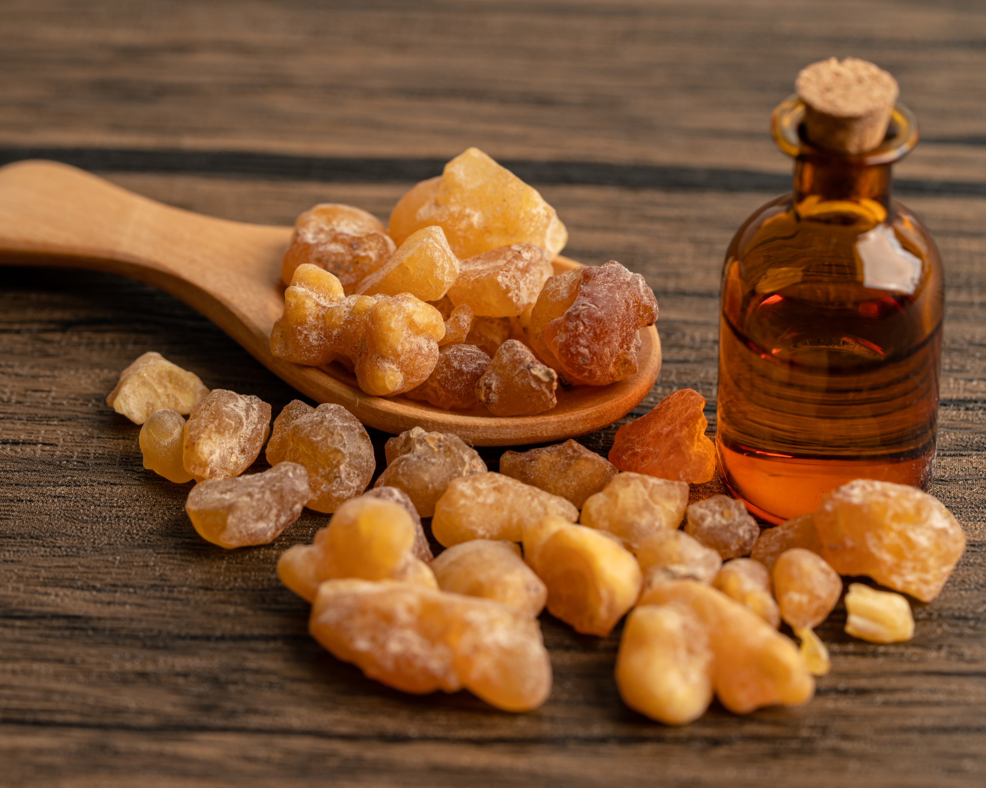 Frankincense doesn’t bloom — it forms.