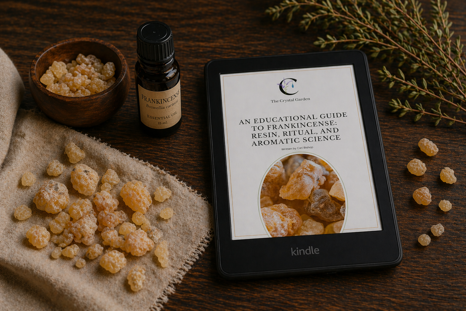 The educational guide to Frankincense on a kindle surrounded by frankincense in a natural setting