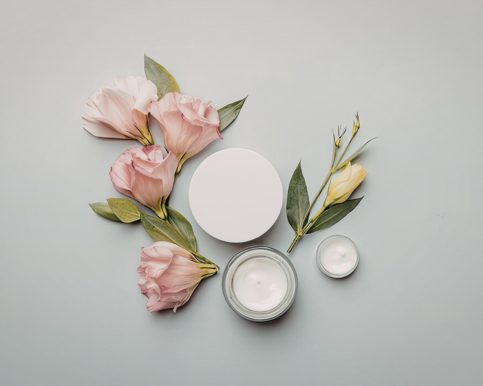 Synthetic vs. Plant-Derived: What Actually Matters for Your Skin