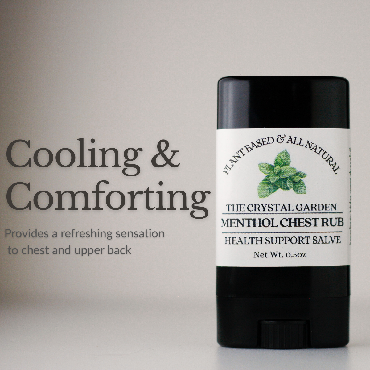 salves, suporting photo(10).png