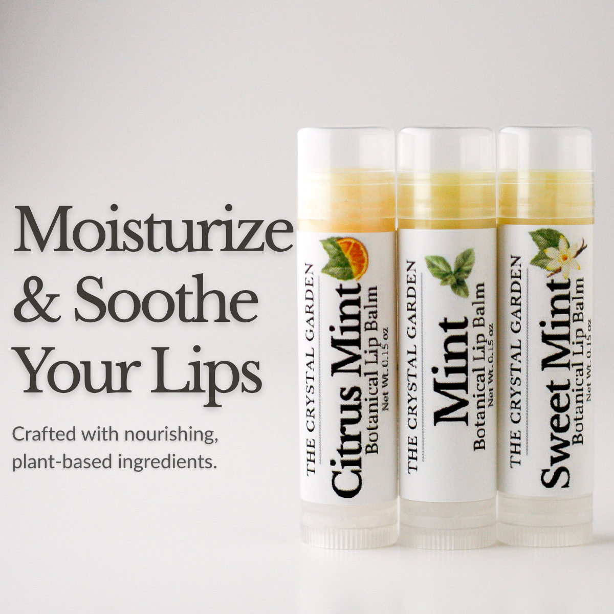 Mint Melody Trio botanical lip balm set with three mint lip balms on a white background.