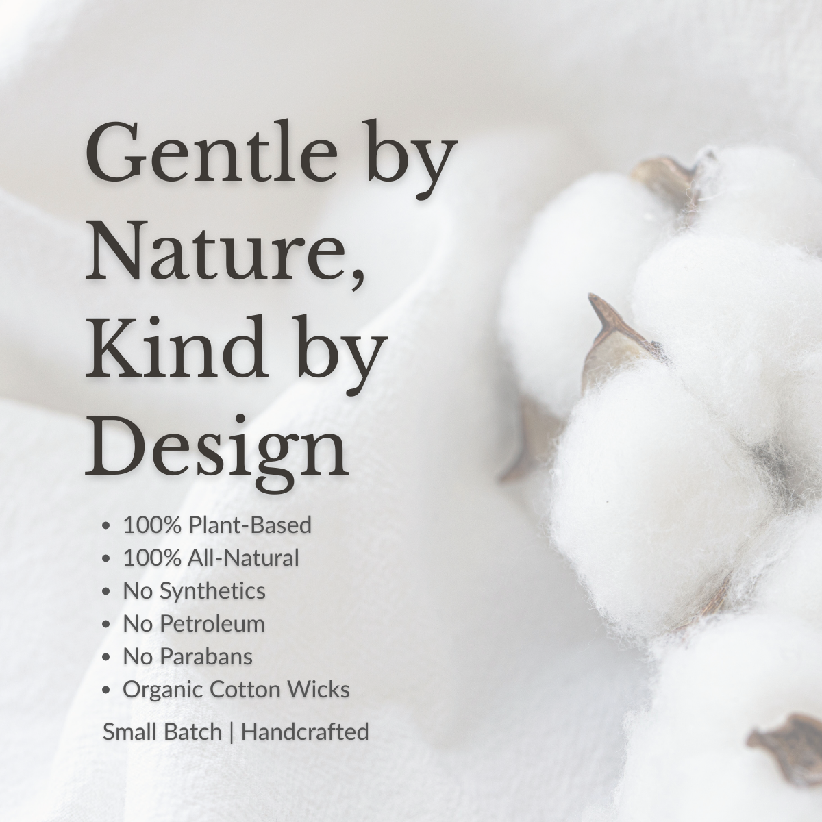 inhalers, suporting photo(3).png