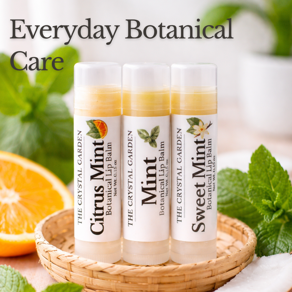 Mint Melody Trio lip balm set with Mint, Sweet Mint, and Citrus Mint lip balms on a stone surface with soft neutral background.