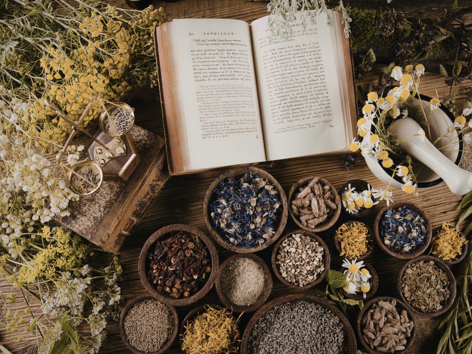 over-view image of an open book surrounded by dried and fresh botanicals in natural bowls. Has weighing scales on stack of old books surrounded by dry flowers
