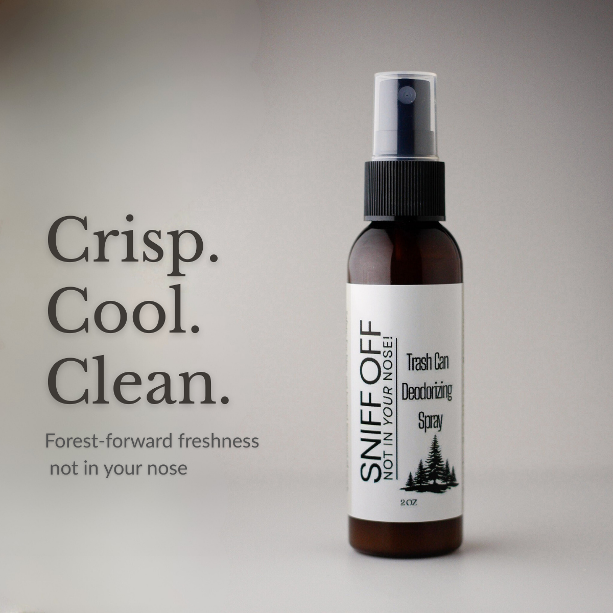 Trashcan Spray, suporting photo(14).png