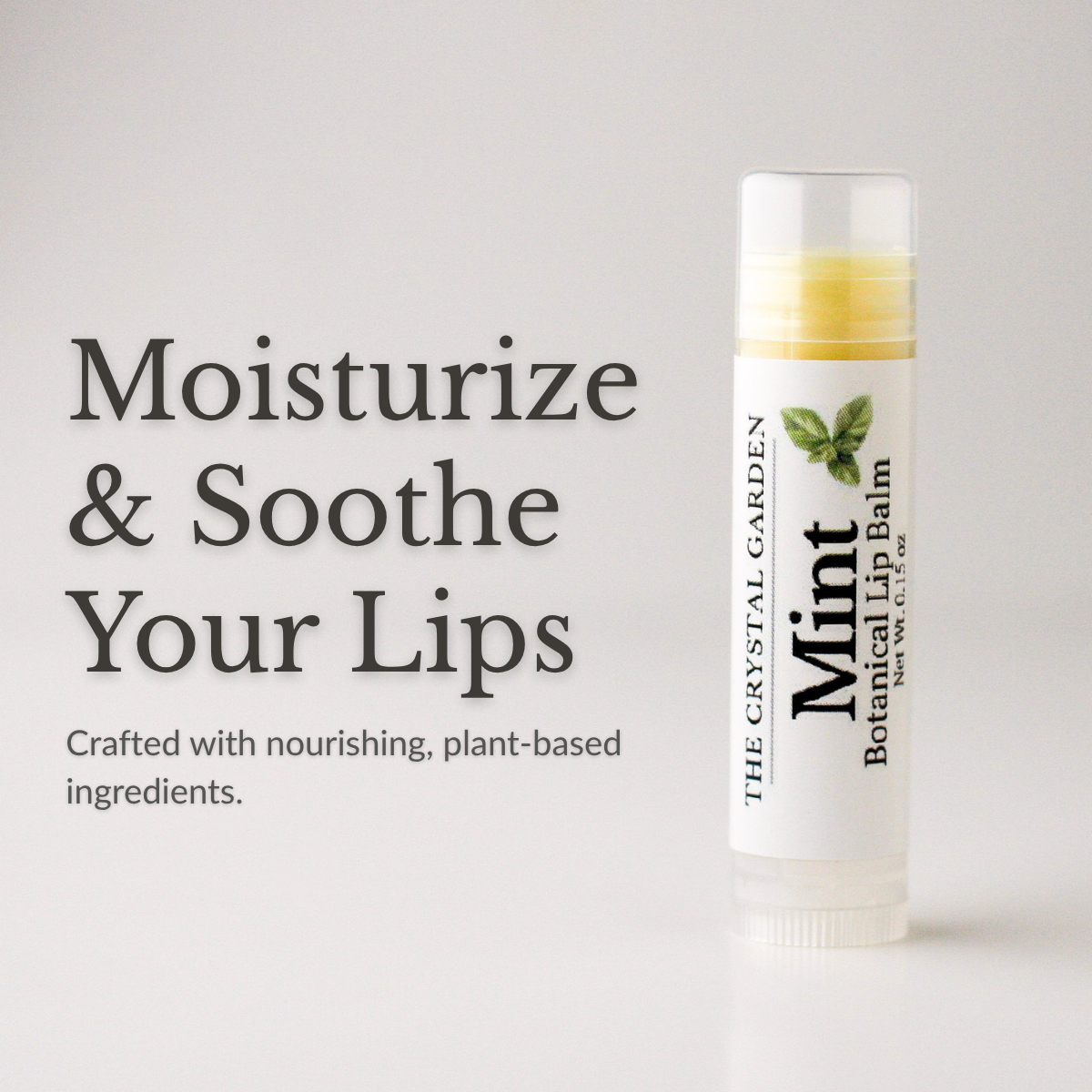Mint Botanical Lip Balm in tube on white background