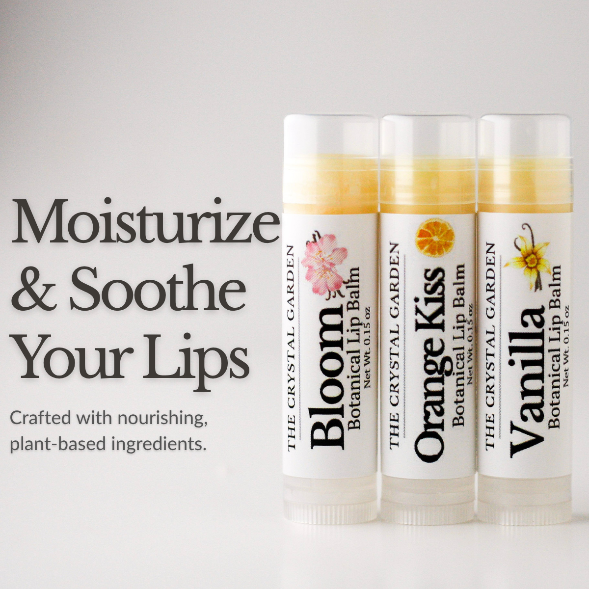 Vanilla Trio botanical lip balm set with Vanilla, Orange Kiss, and Bloom lip balms on a white background.