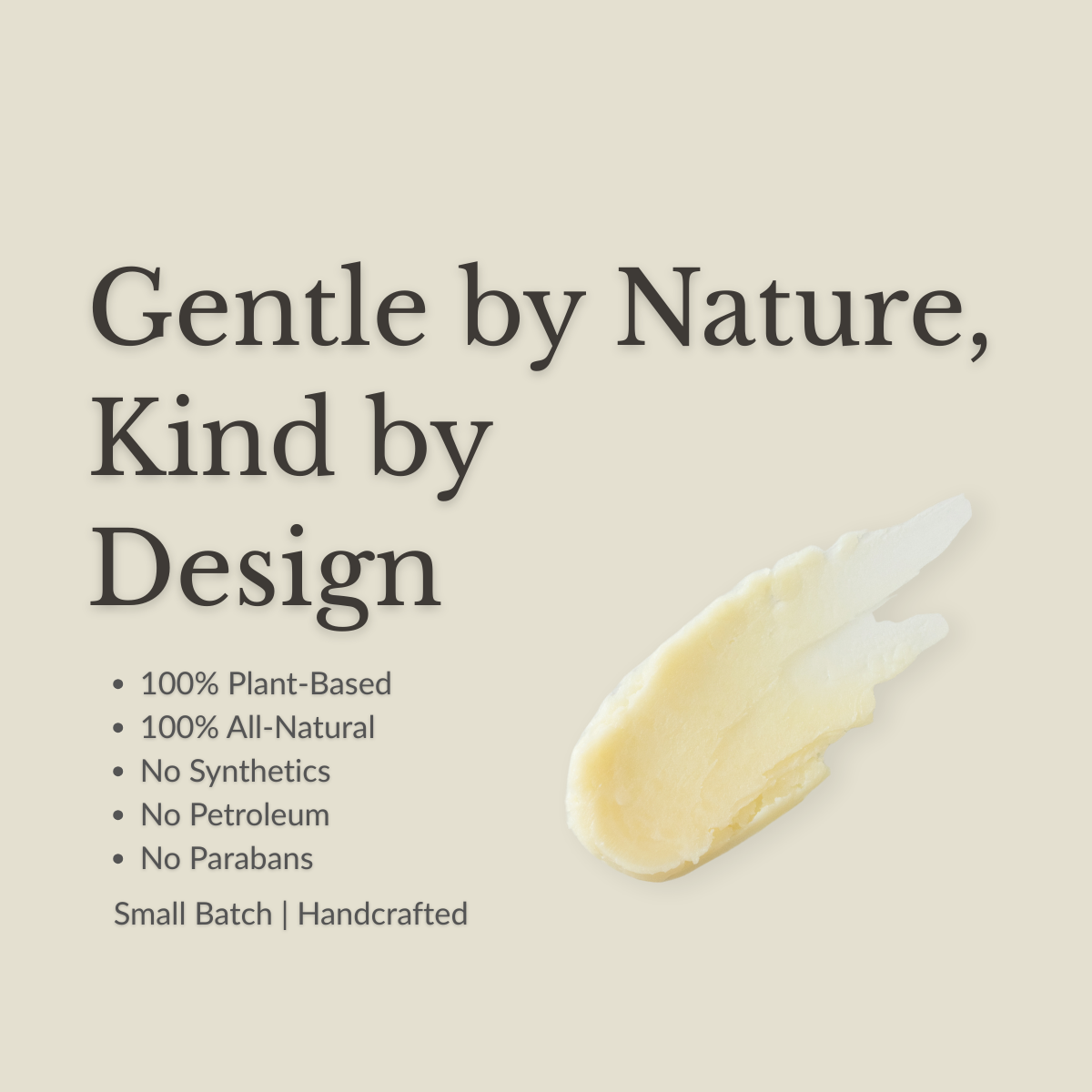 salves, suporting photo.png