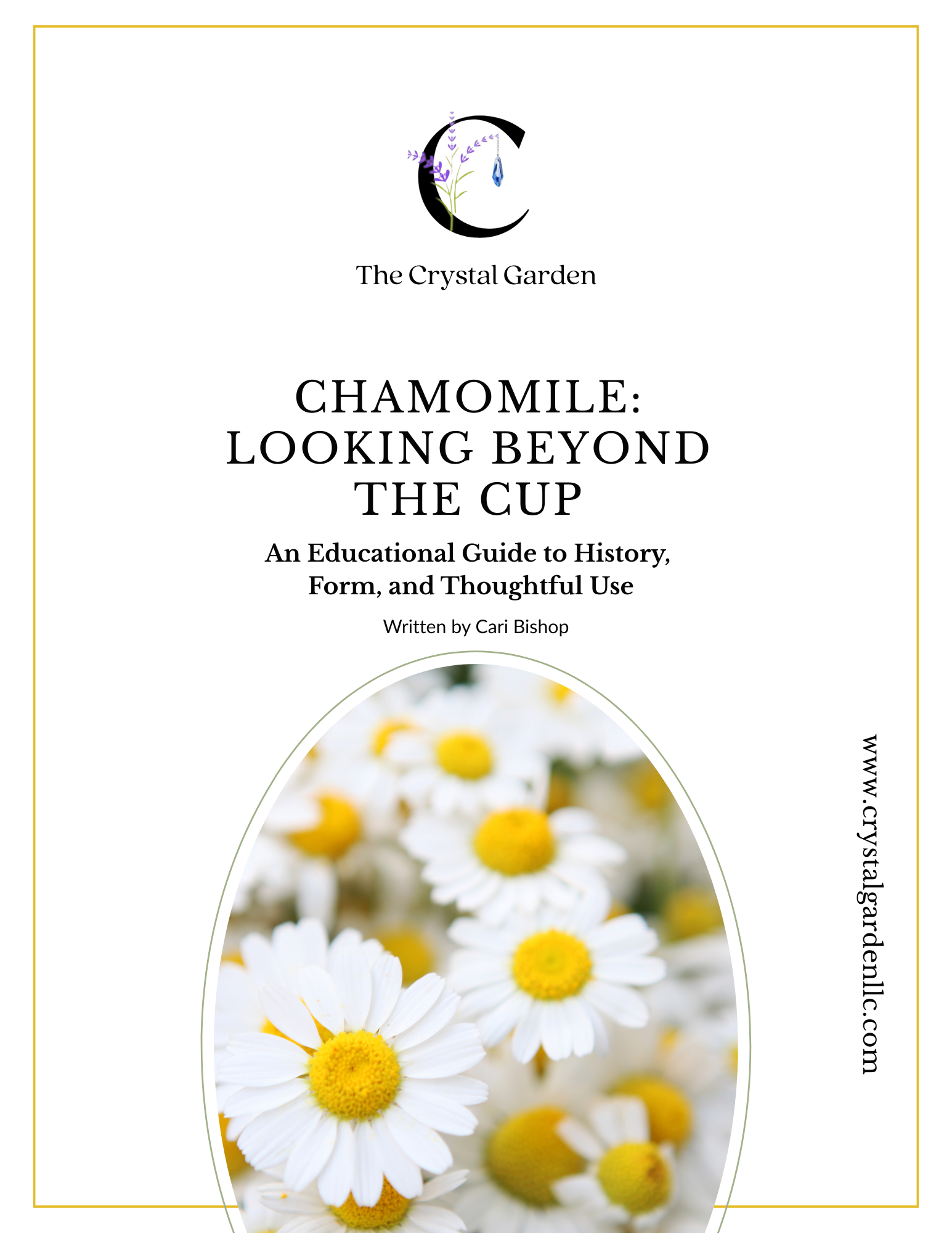 An Educational Guide to Chamomile