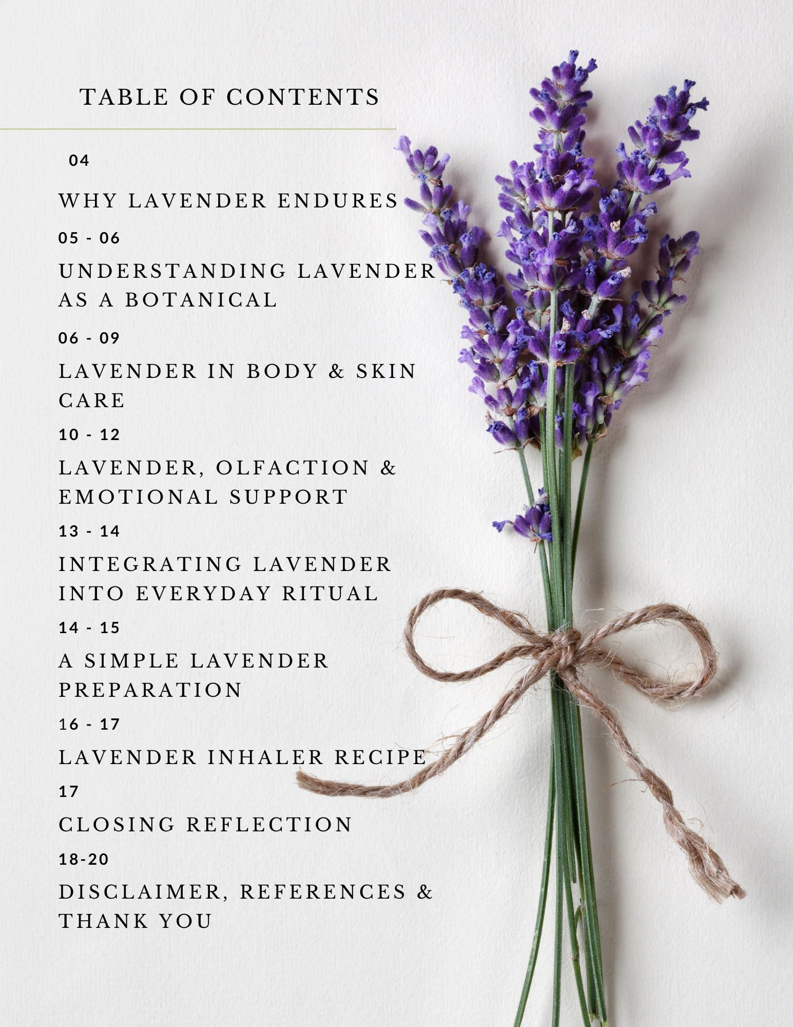 Table of Contents.jpg