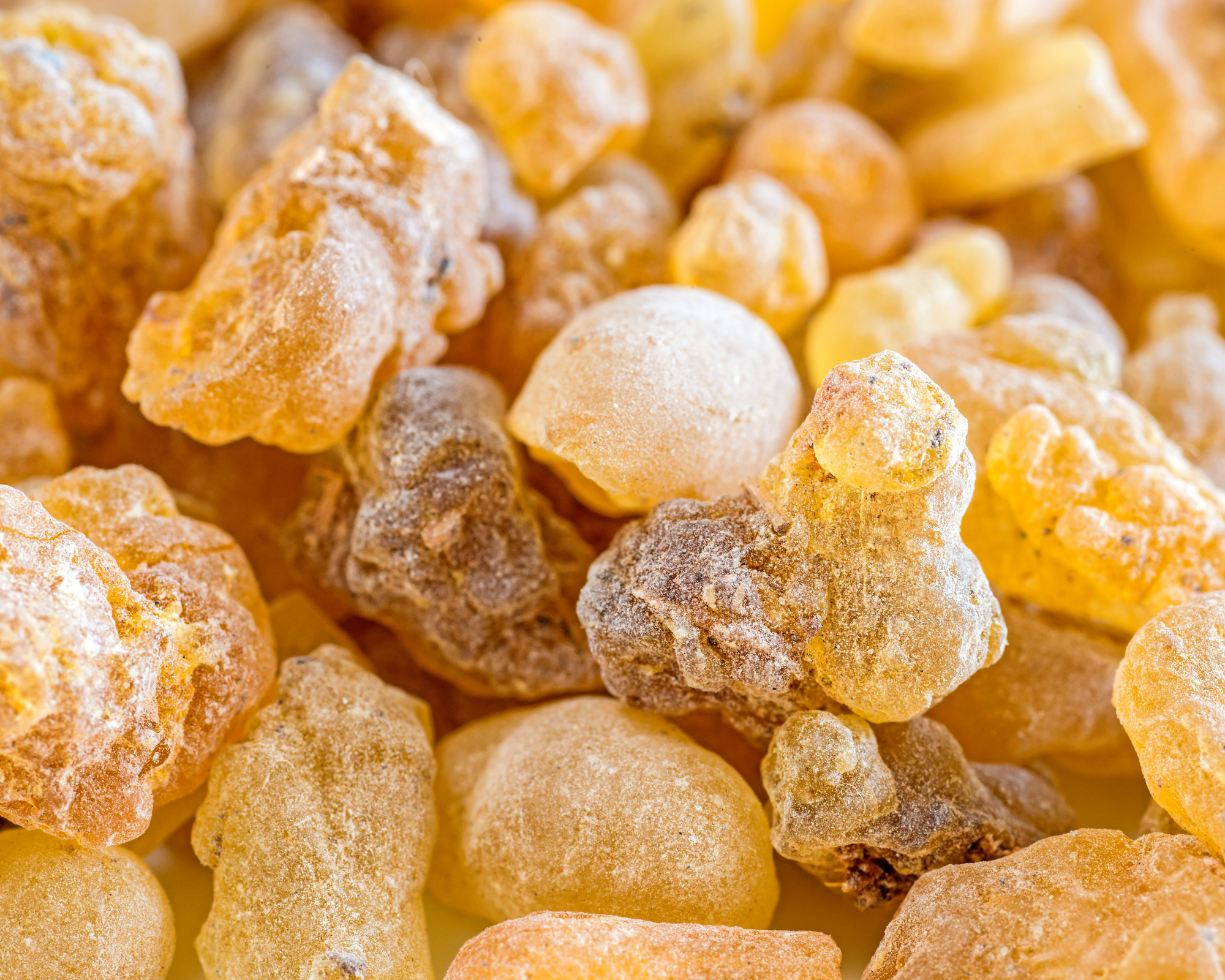 Clost up image of frankincense resin