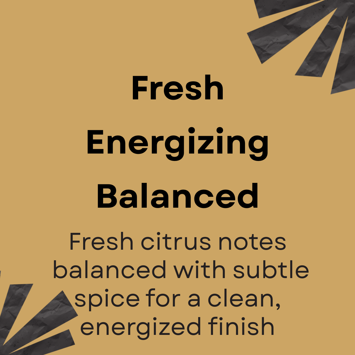 cit spice-text image.png