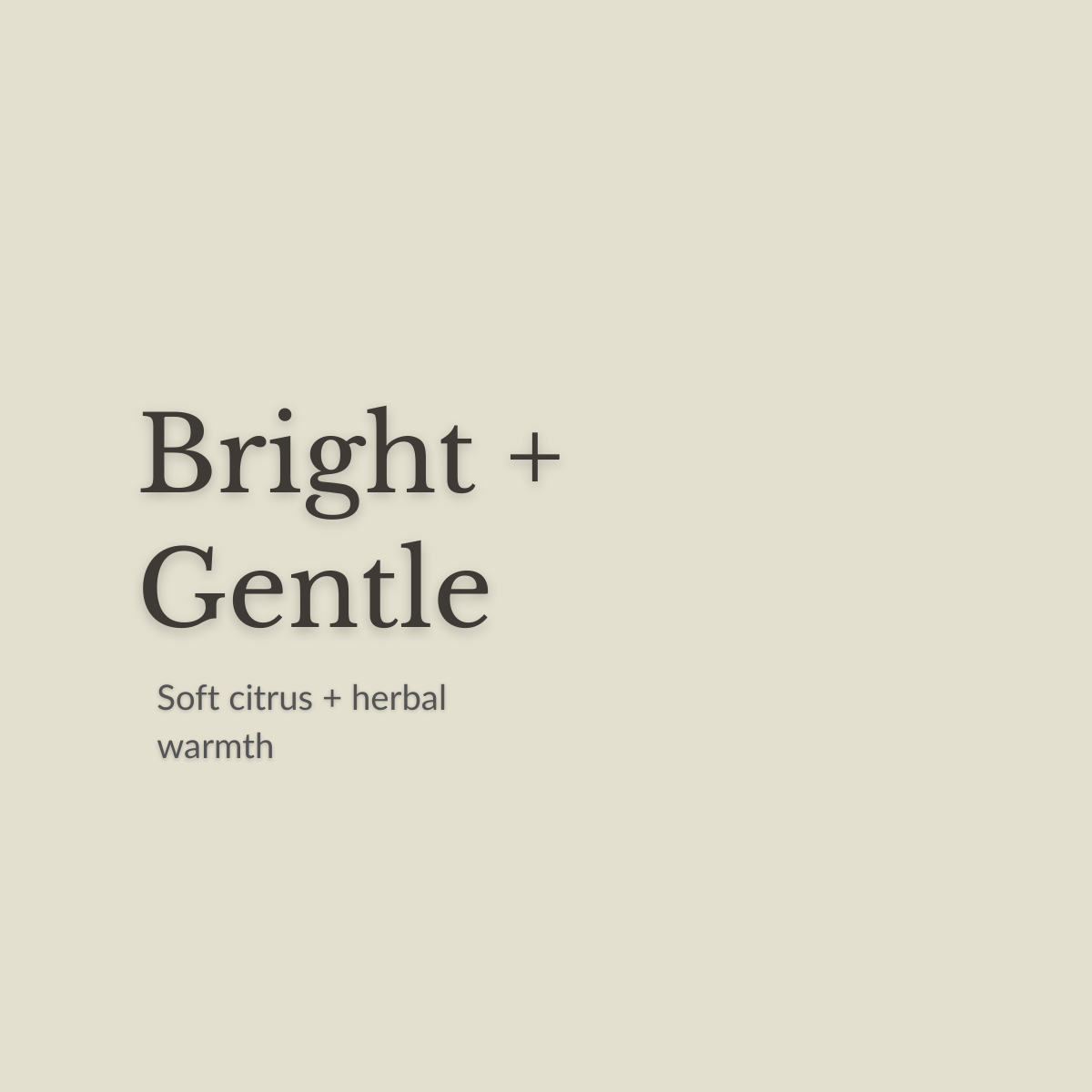 inhalers, suporting photo(29).png