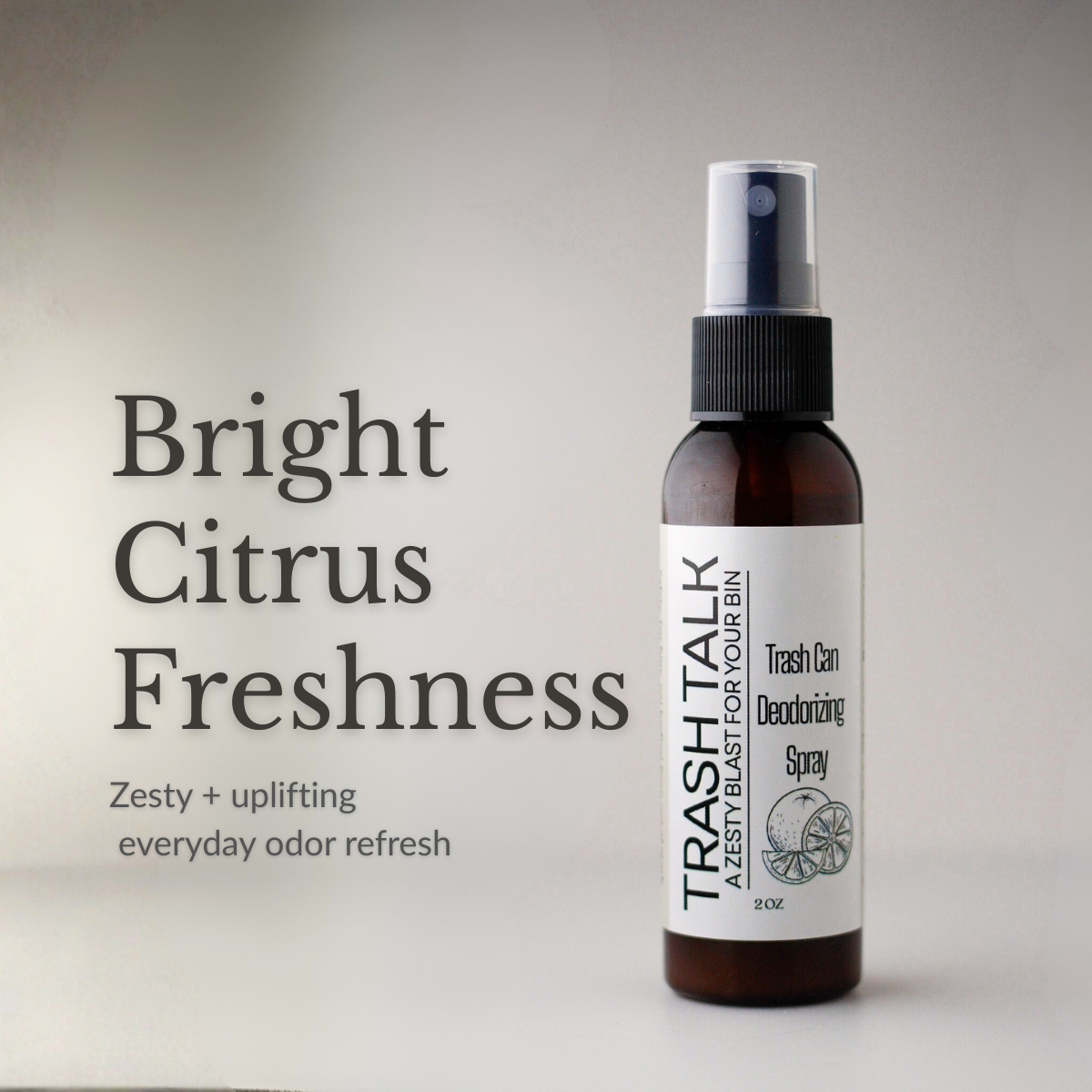 Trashcan Spray, suporting photo(6).png
