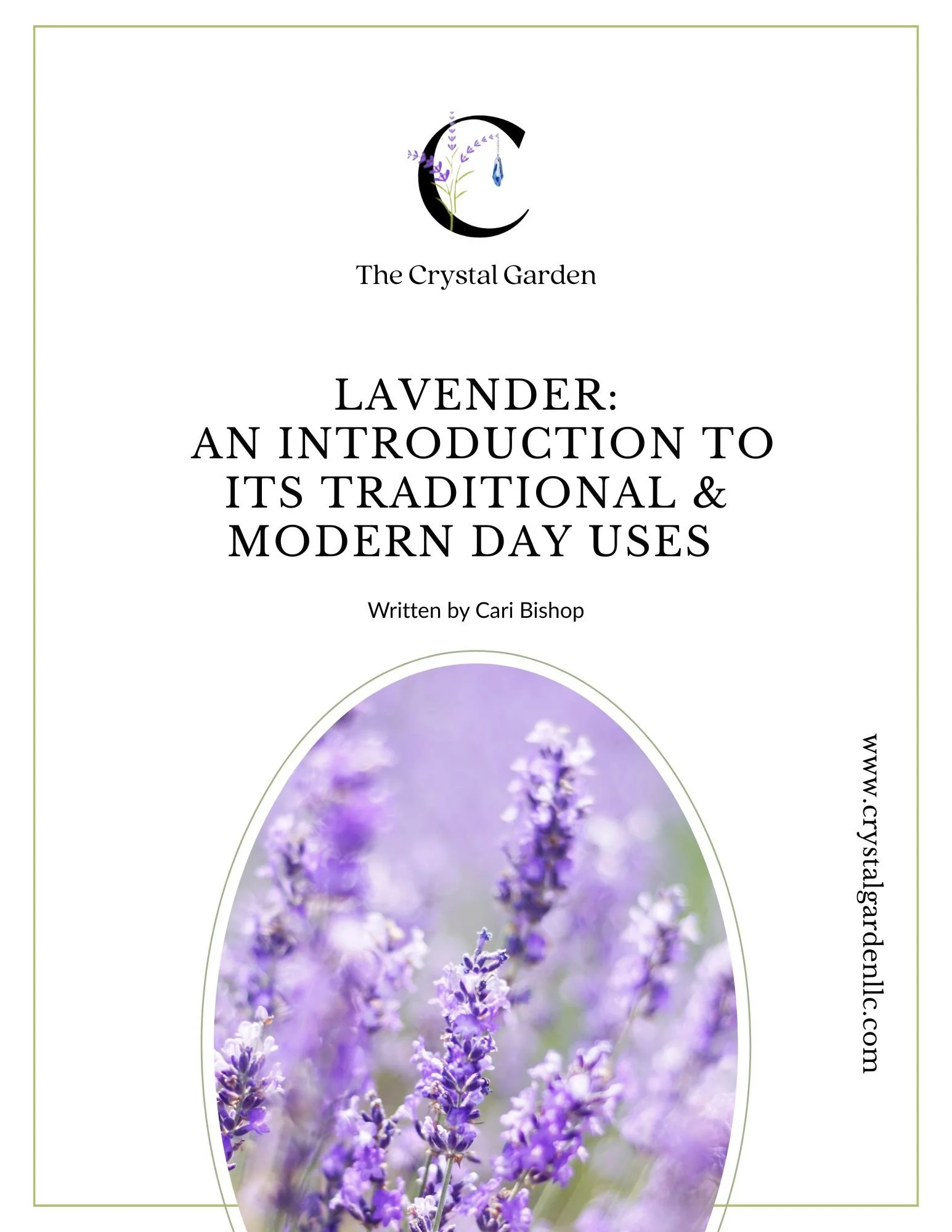 An Educational Guide to Lavender