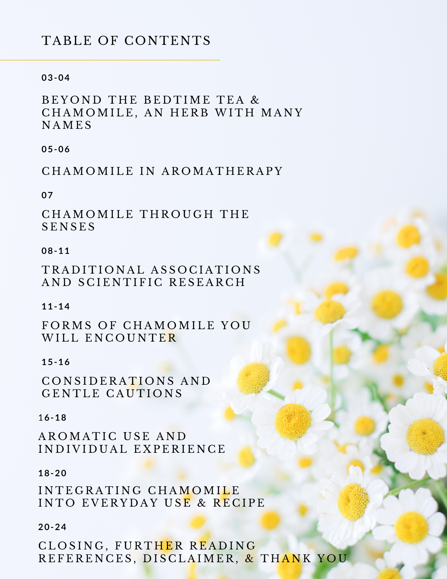 Table of Contents.png