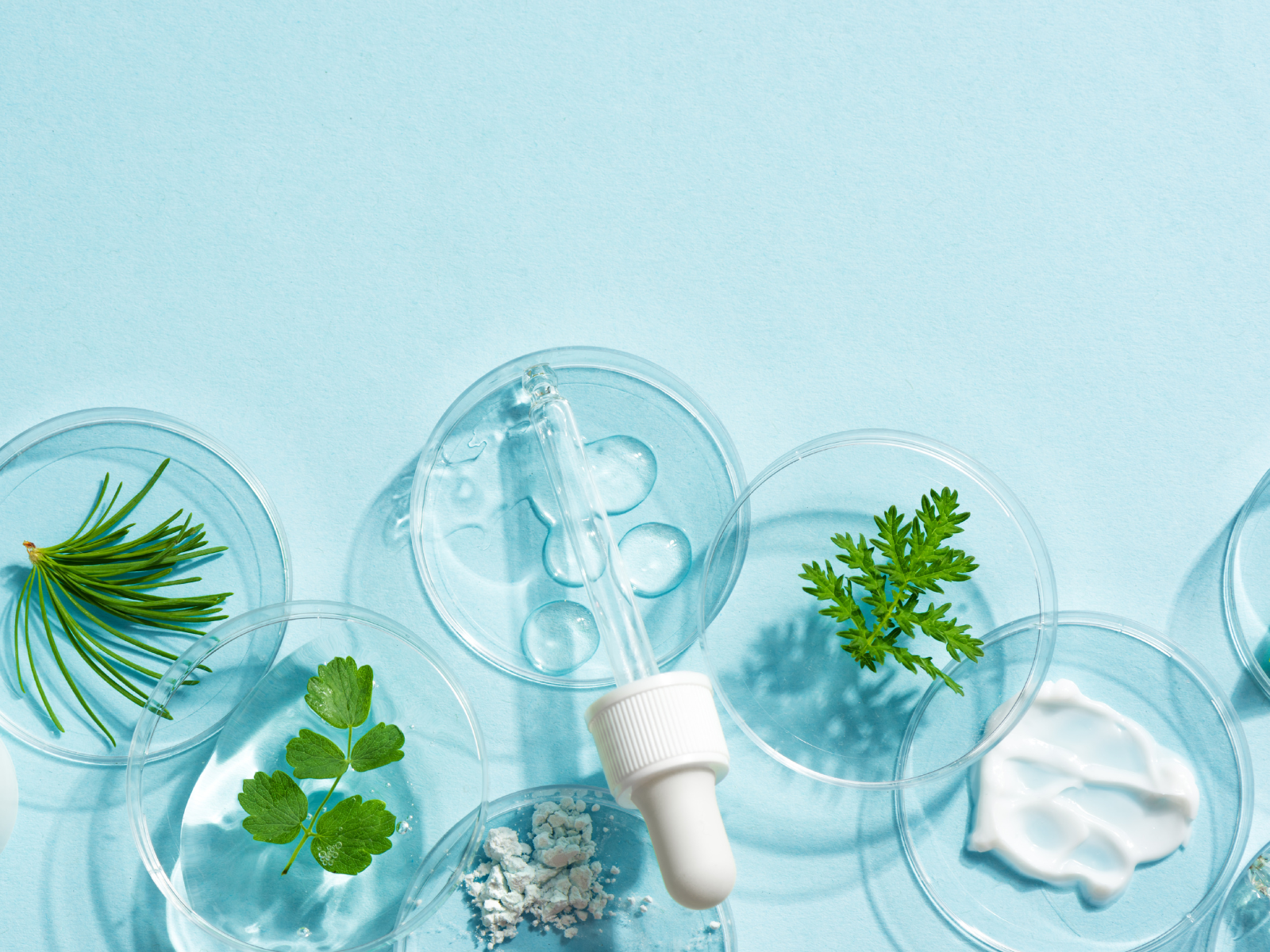 close up of botanicals in dishes, with dropper on a blue background