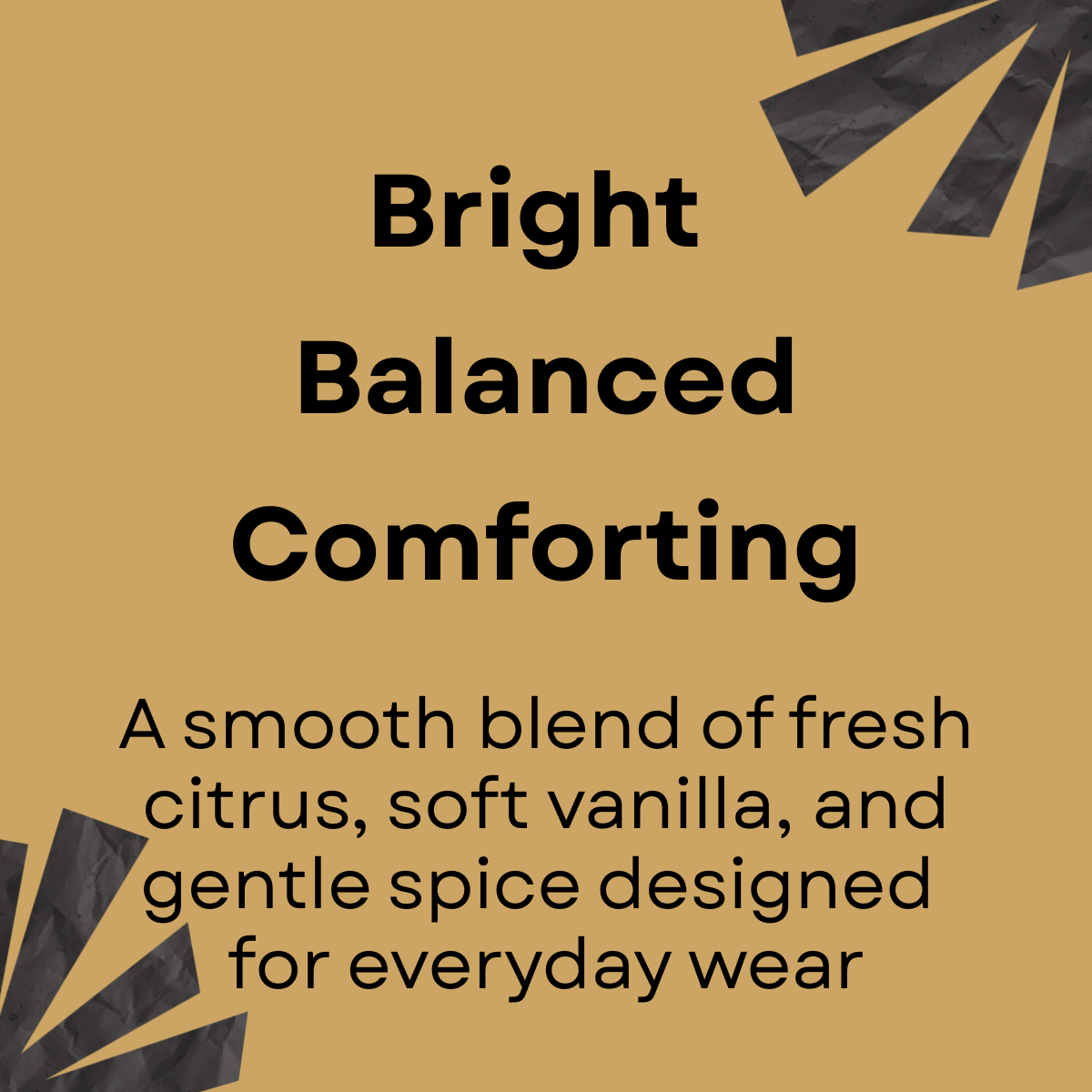 cit vanilla spice-text image.png