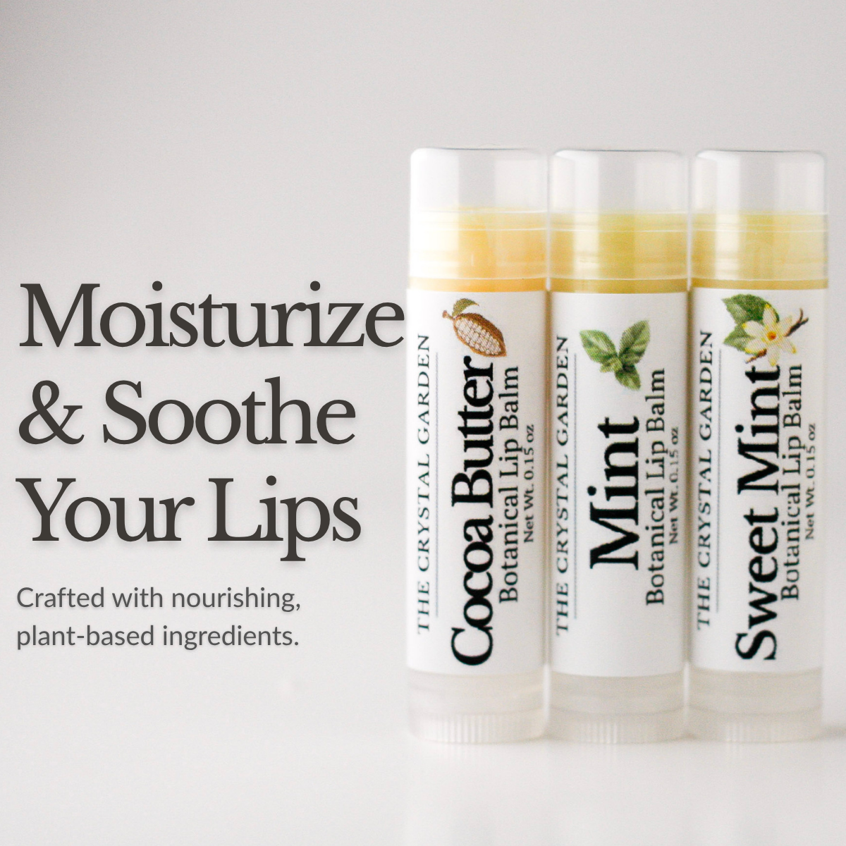 Botanical Trio lip balm set with Cocoa Butter, Mint, and Vanilla lip balms on a white background. supporting photo(7).png