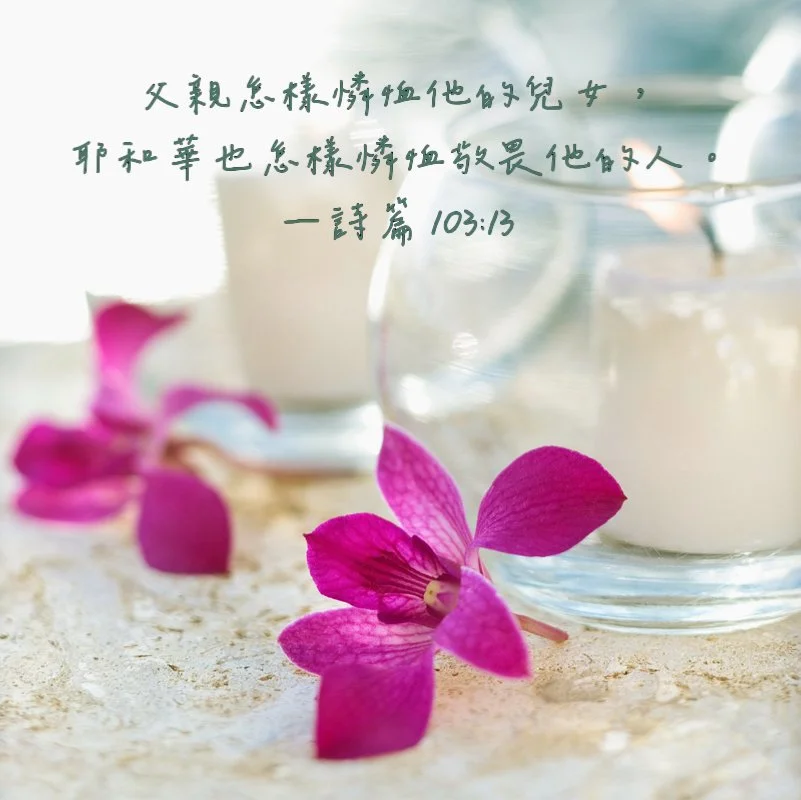 石斛蘭花加經文詩篇第103章13節,父親怎樣連續他的兒女,耶和華也怎樣連續敬畏他的人。