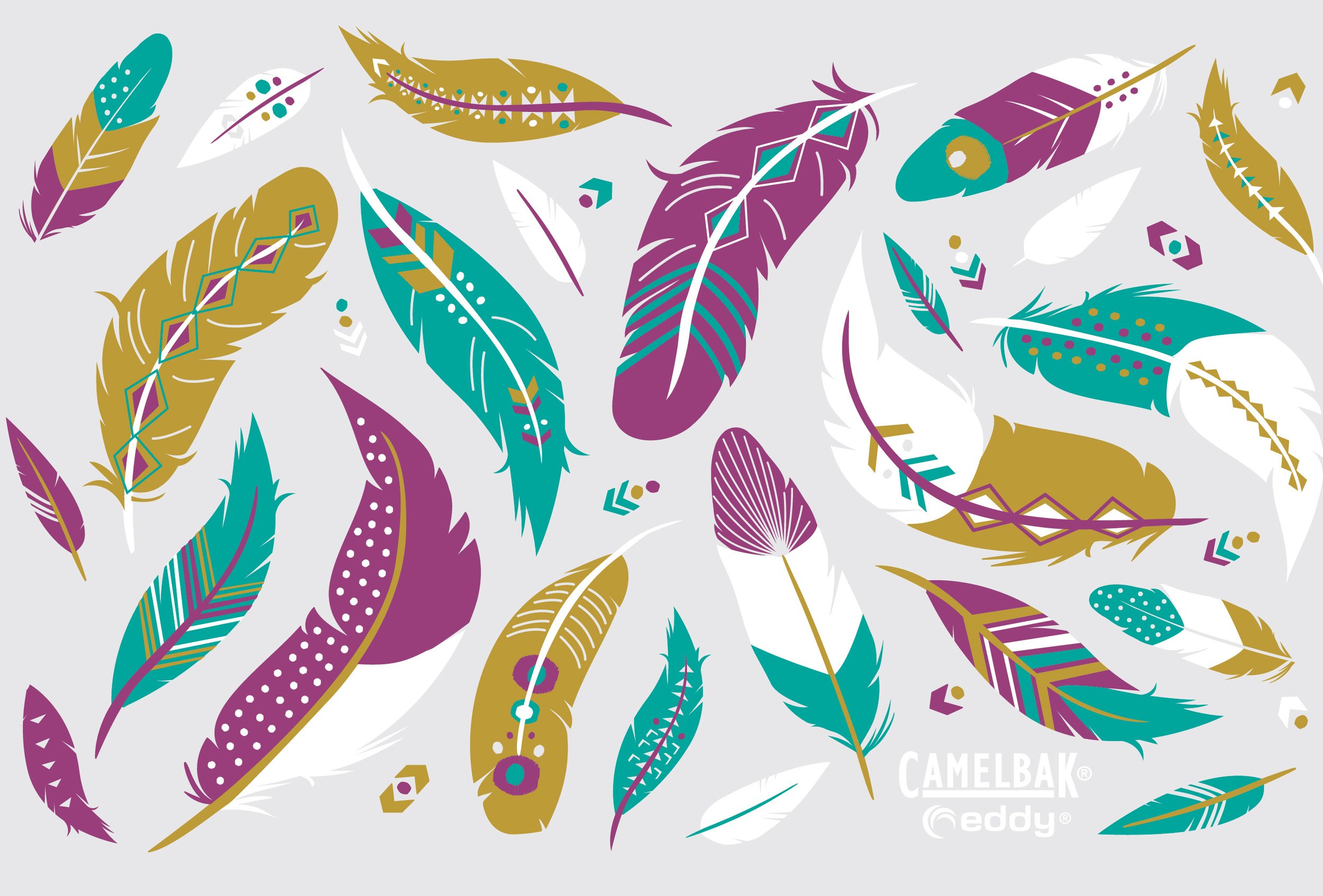 feathers_final_cs6.jpg