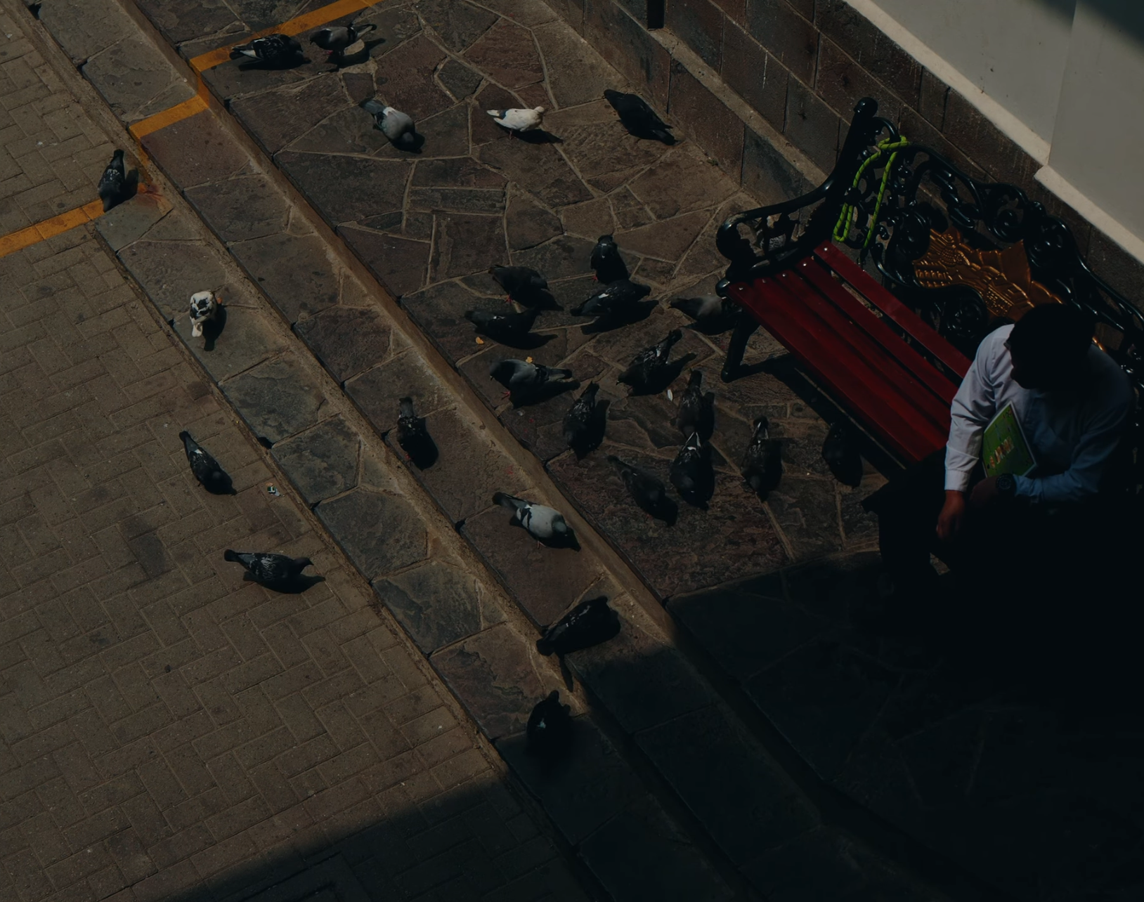 Overhead view of pigeons on stone pavement near a man sitting on a bench.
