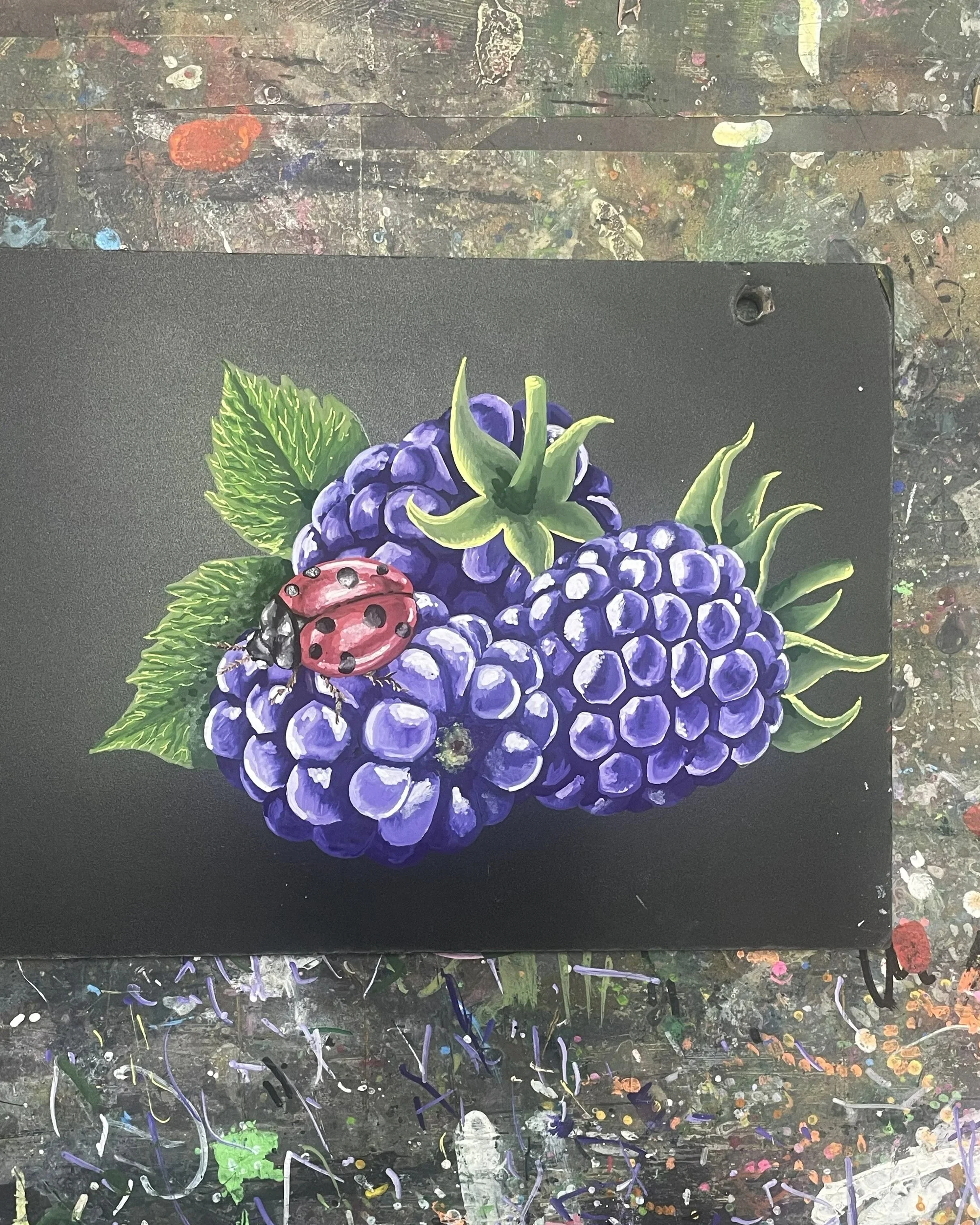 blackberry+bug.jpg