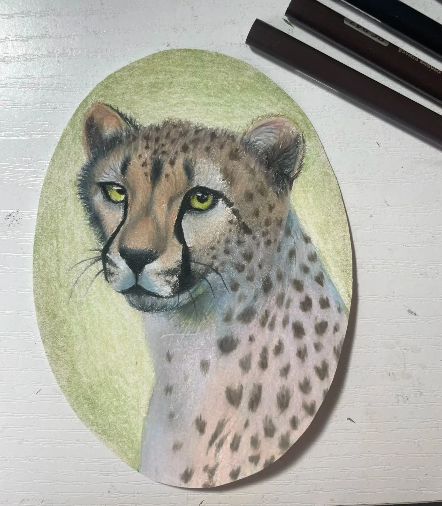 lichen%2C+cheetah.jpg