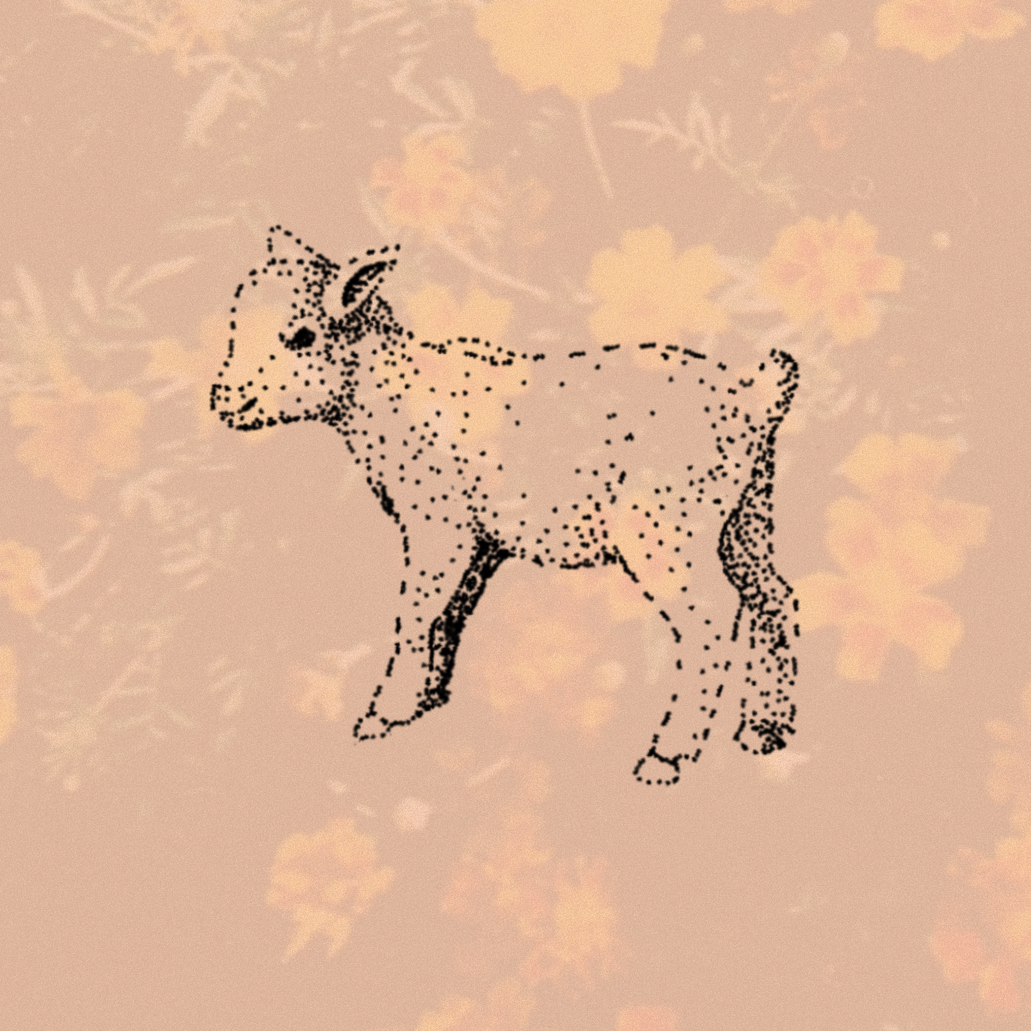 flash, lamb.PNG