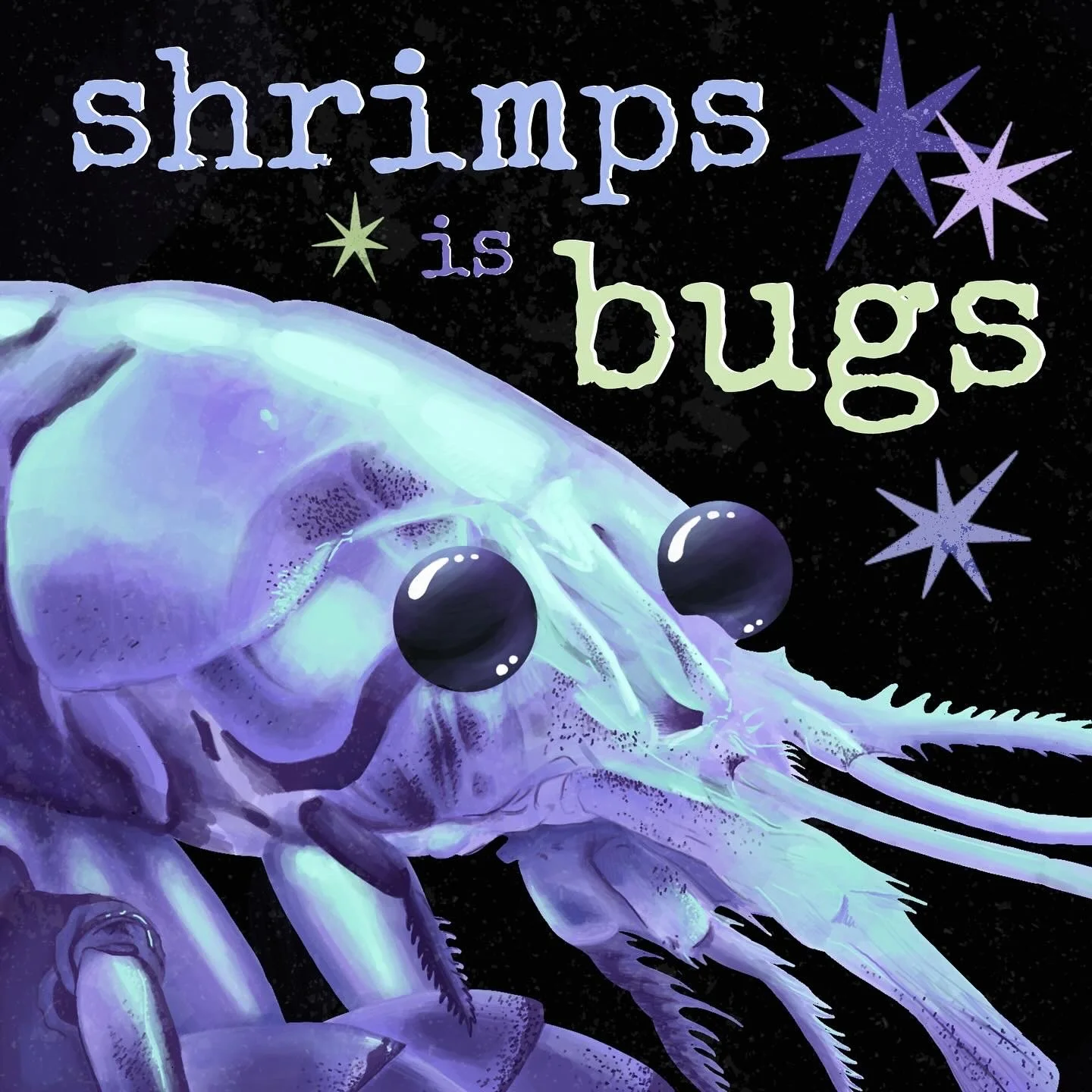 lichen, shrimps.jpg