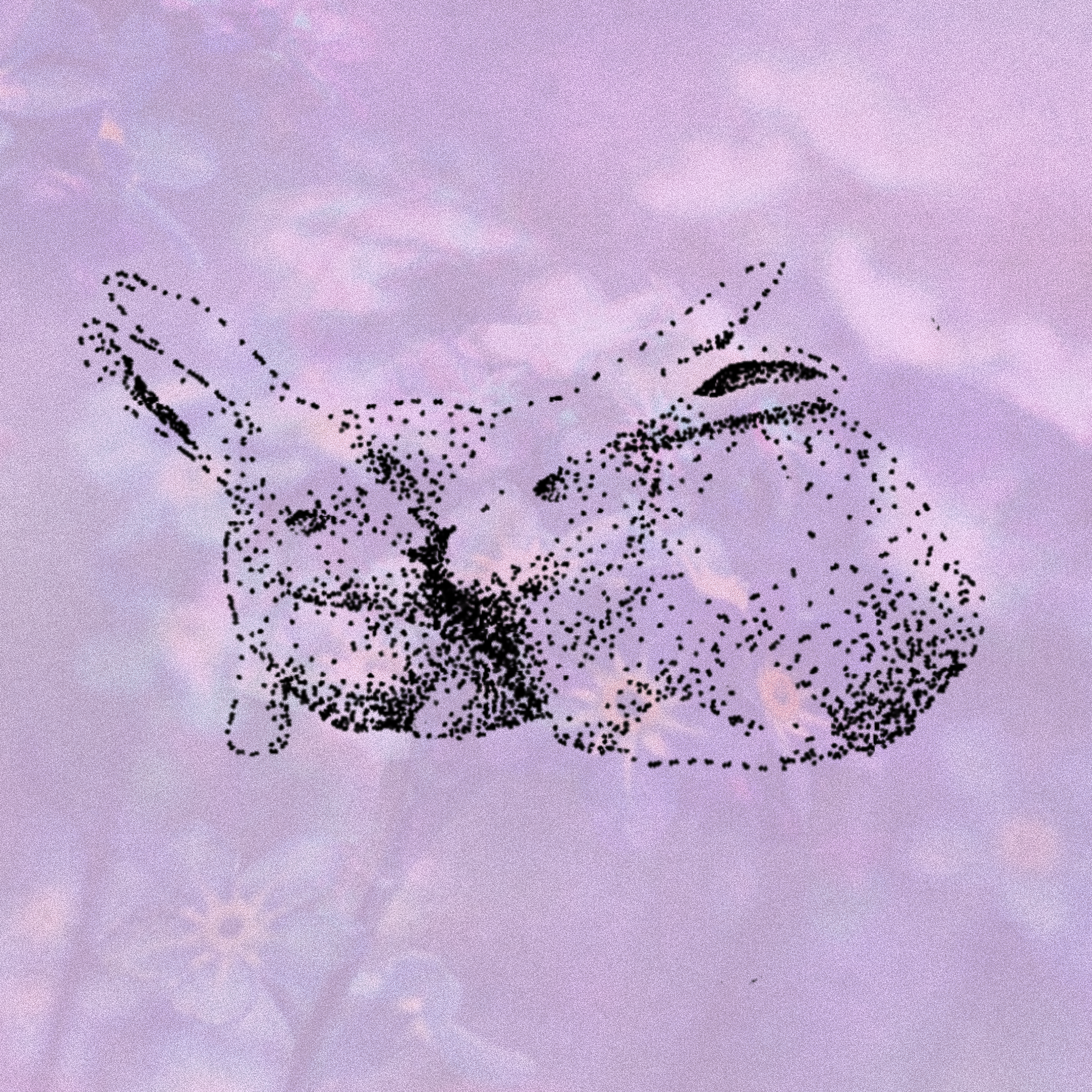 flash, rabbits.PNG