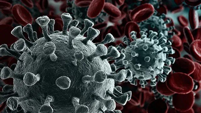 Bloodborne Pathogens
