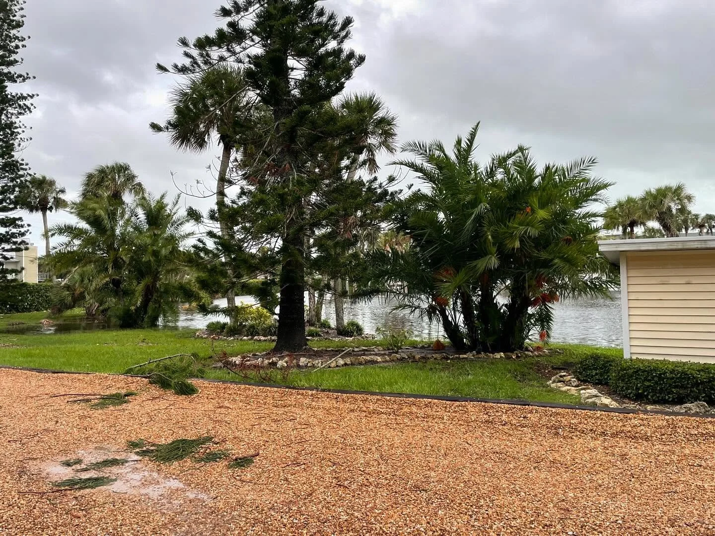 We survived Tropical Storm Debbie! Feeling very thankful that our home stayed dry and the power stayed on. My heart goes out to those who were not so lucky and dealing with the aftermath of all this flooding. Also, my thoughts are with those still in